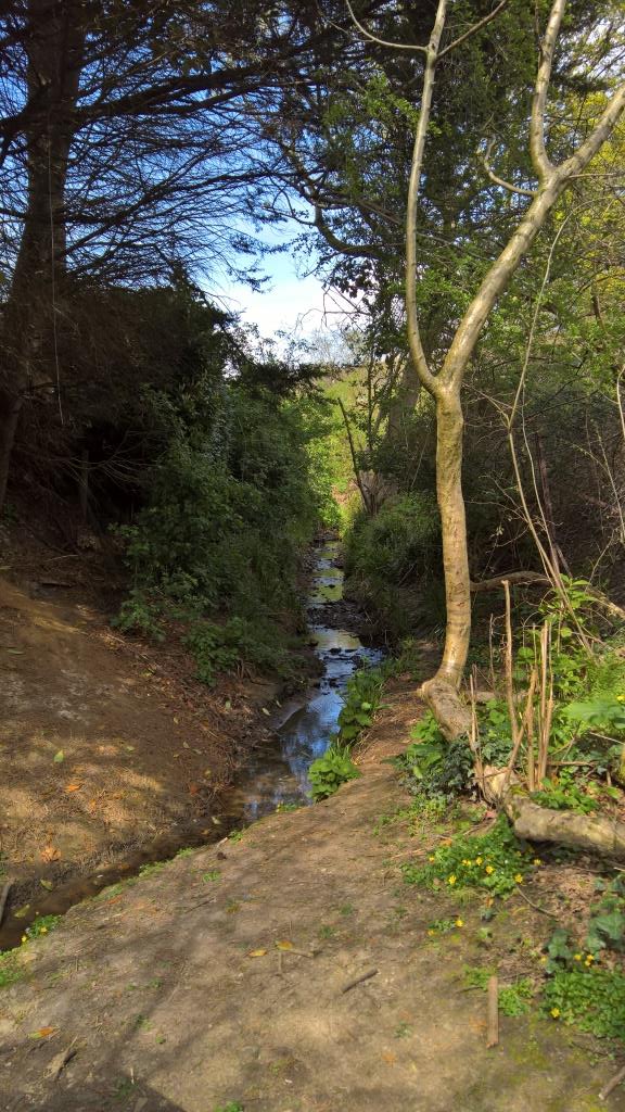 WP_20160503_14_53_57_Rich