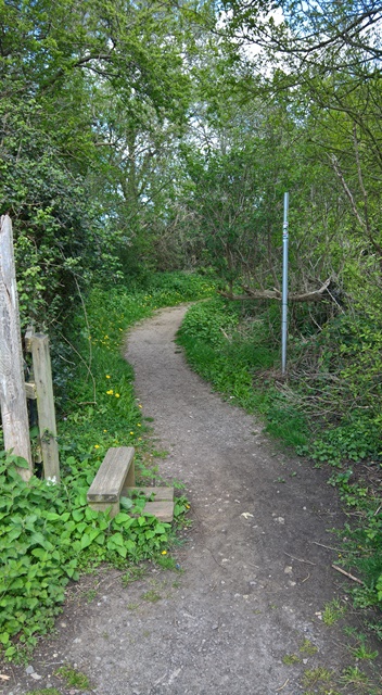 WP_20160503_15_16_51_Rich