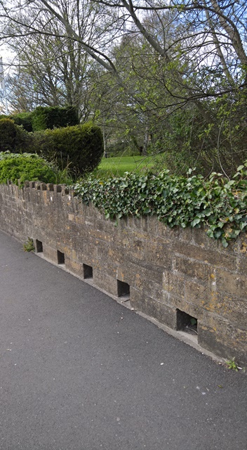 WP_20160503_15_23_00_Rich