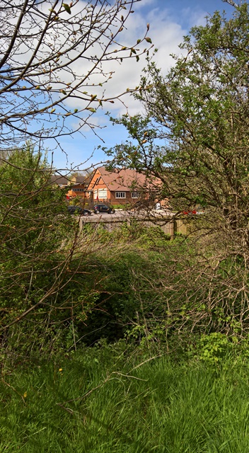 WP_20160503_15_26_03_Rich