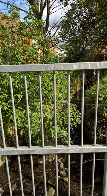 WP_20160503_15_45_50_Rich