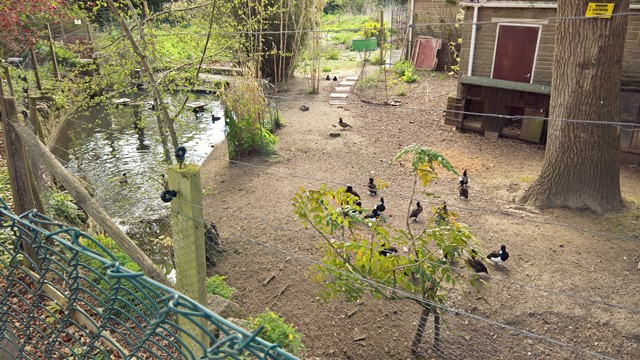 WP_20160503_15_47_41_a_Rich