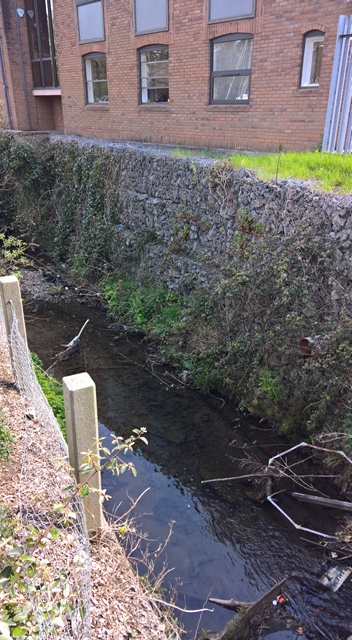 WP_20160503_16_29_19_Rich