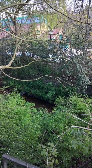 WP_20160503_16_30_19_Rich