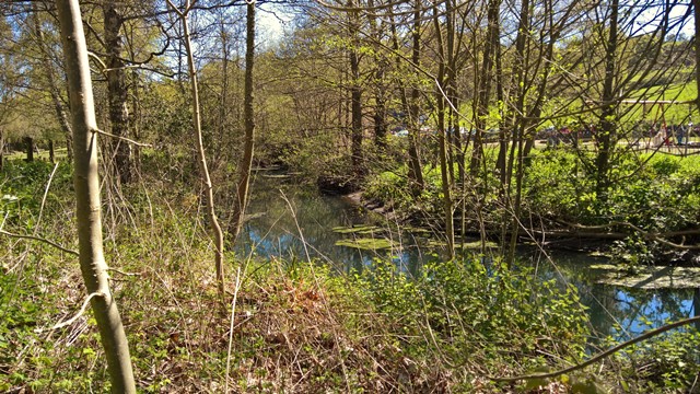 WP_20160504_10_51_41_a_Rich