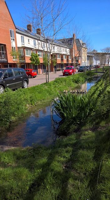 WP_20160504_10_56_46_Rich