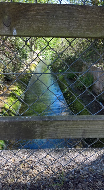 WP_20160504_10_58_38_Rich