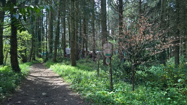 WP_20160506_11_45_51_Rich_LI