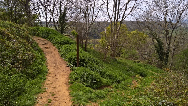 WP_20160506_11_54_46_Rich_LI