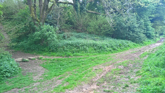 WP_20160510_13_58_48_Rich_LI