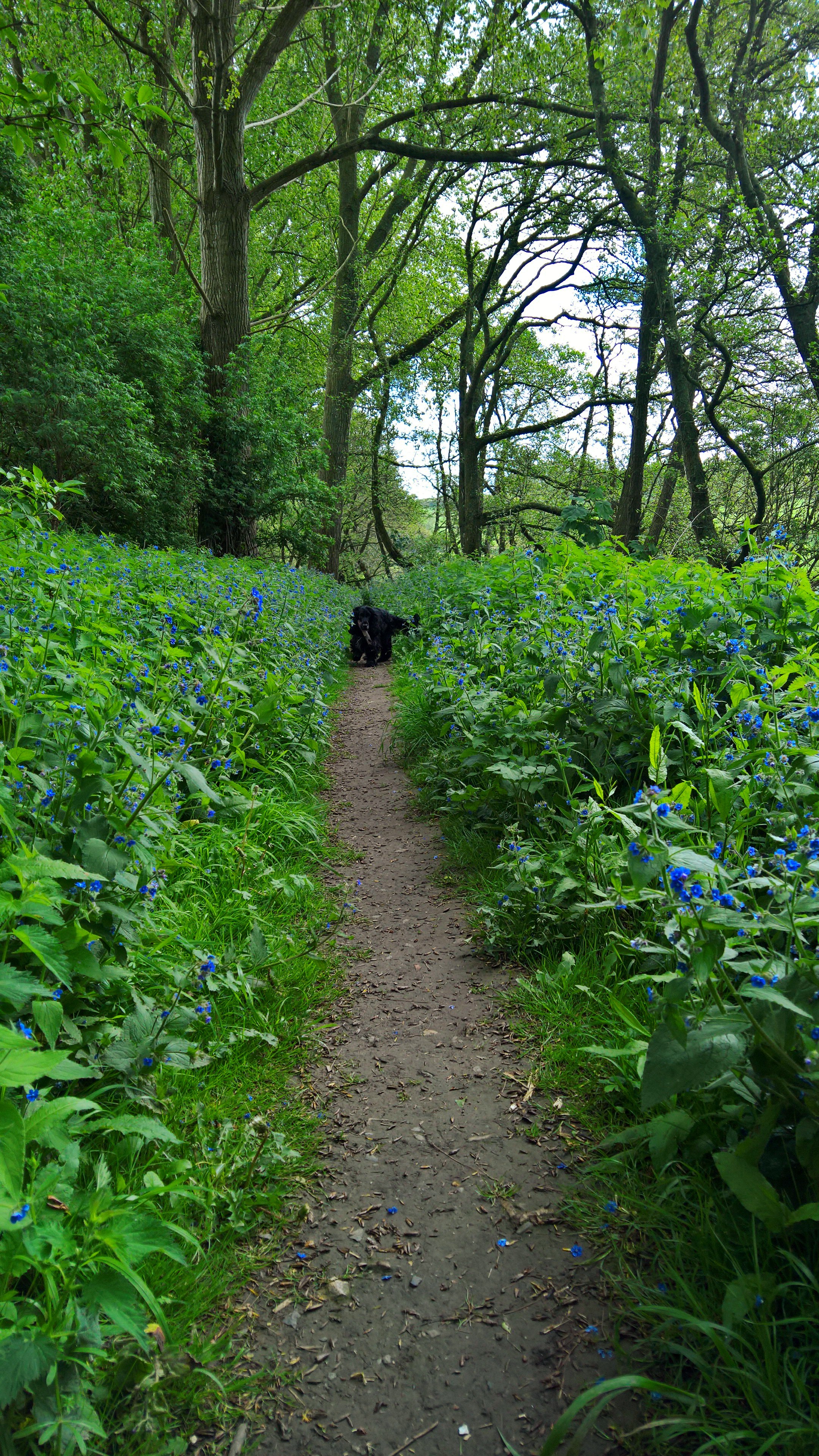 WP_20160518_10_35_43_Rich_LI (2)