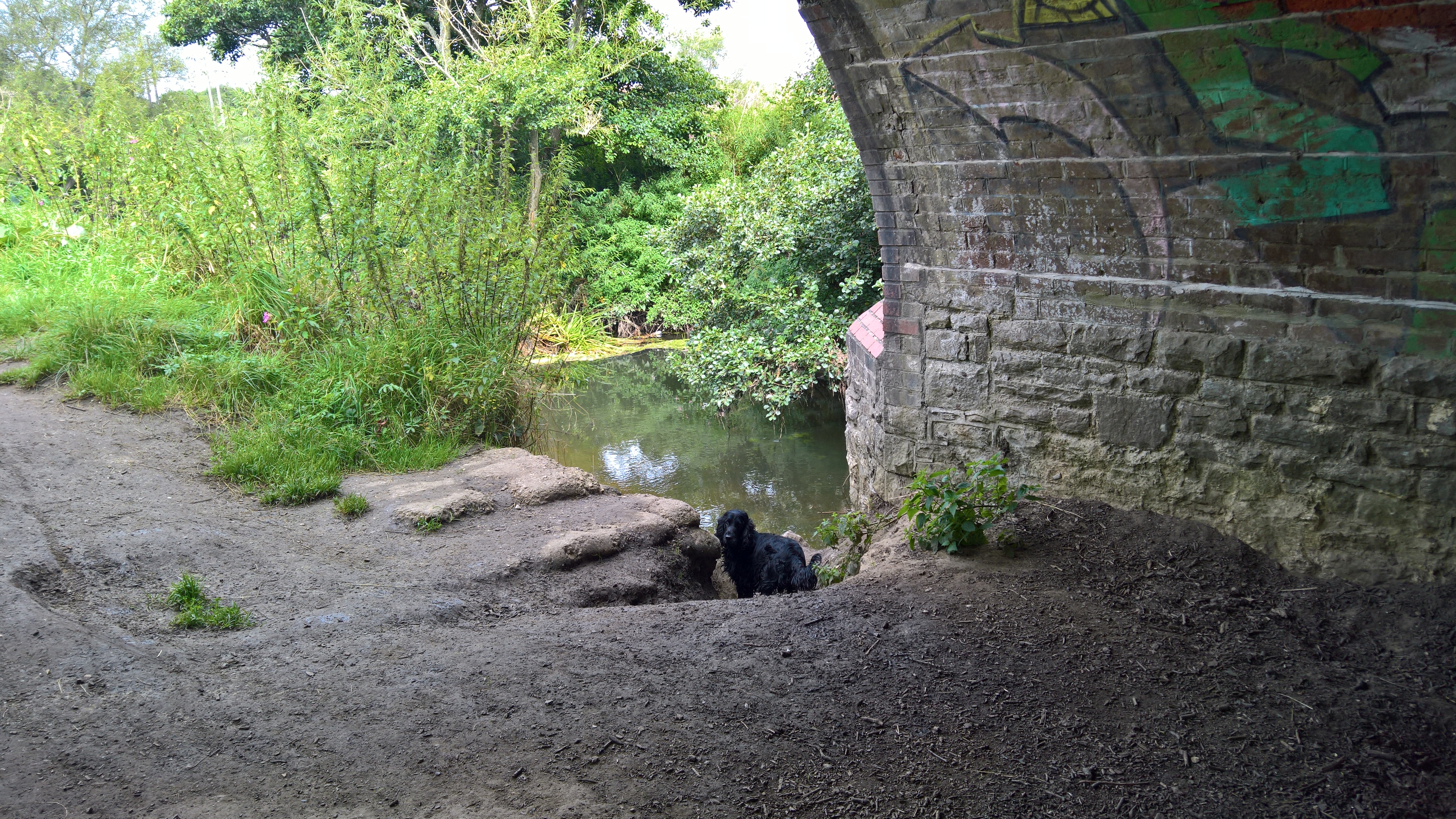 WP_20170820_11_04_07_Rich_LI