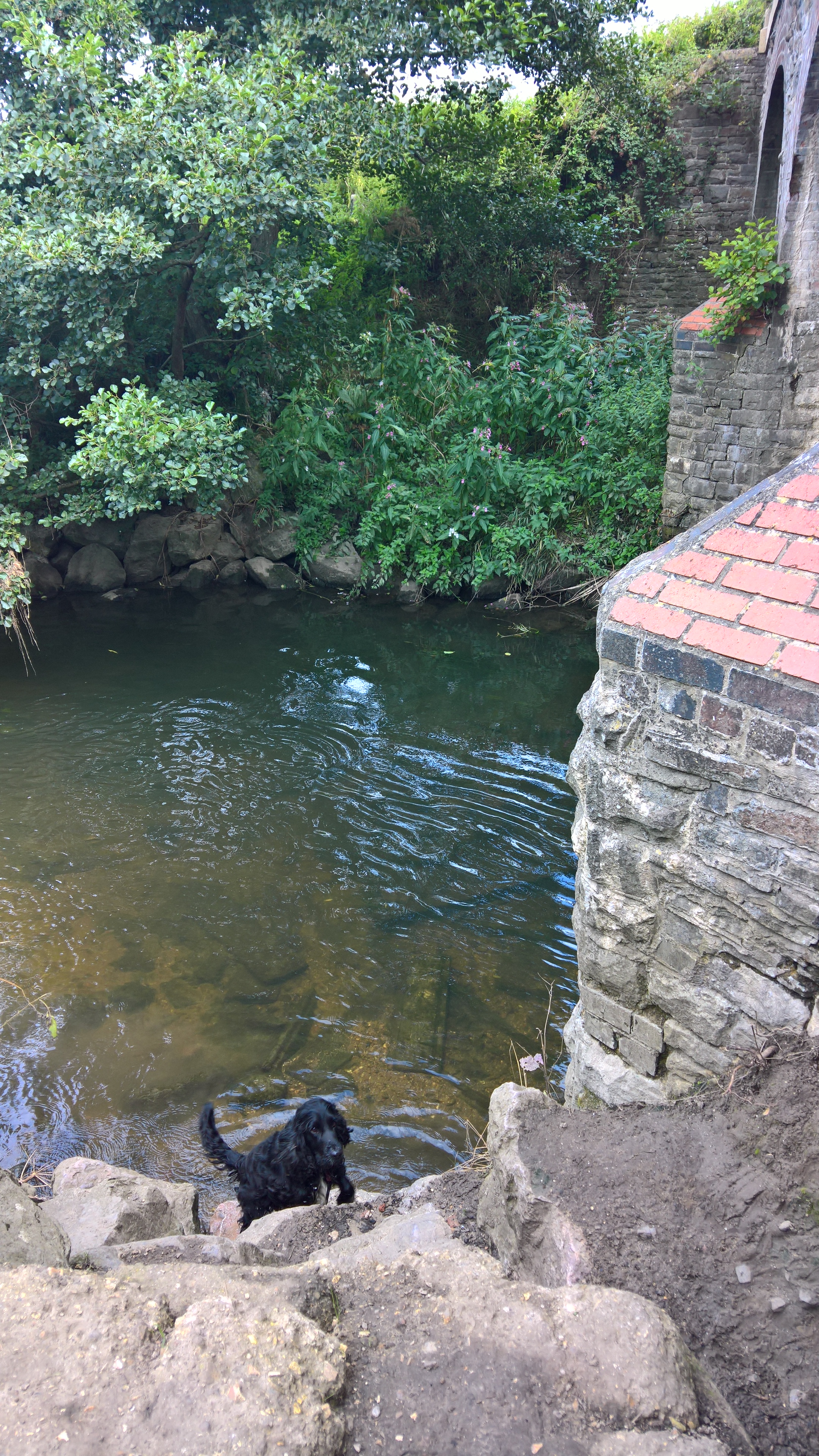 WP_20170820_11_04_45_Rich_LI