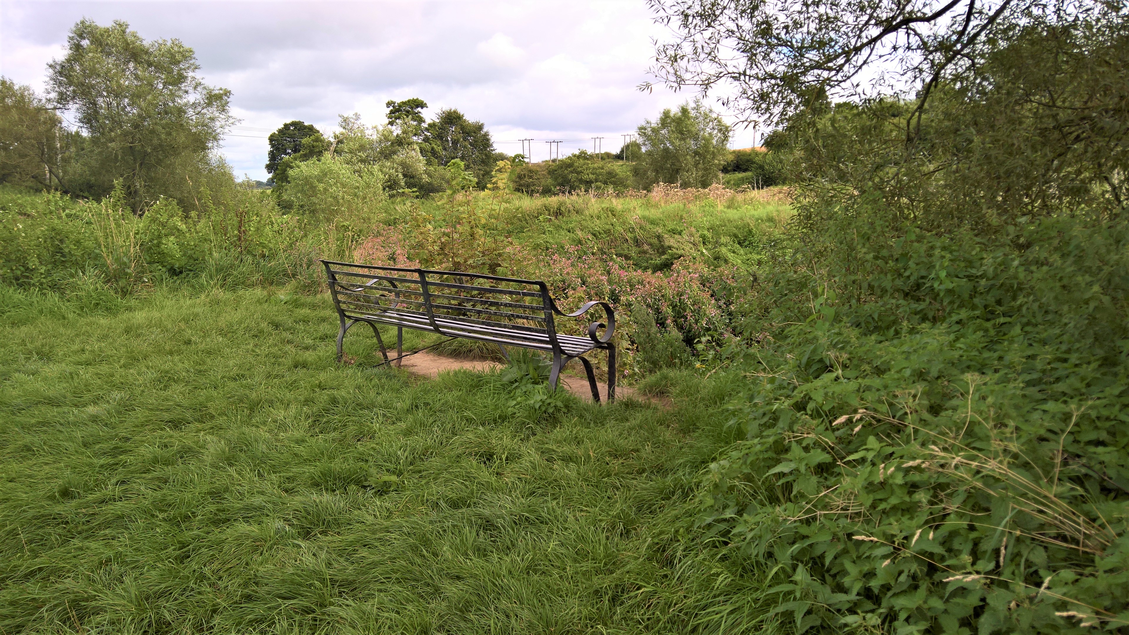 WP_20170820_11_06_16_Rich_LI