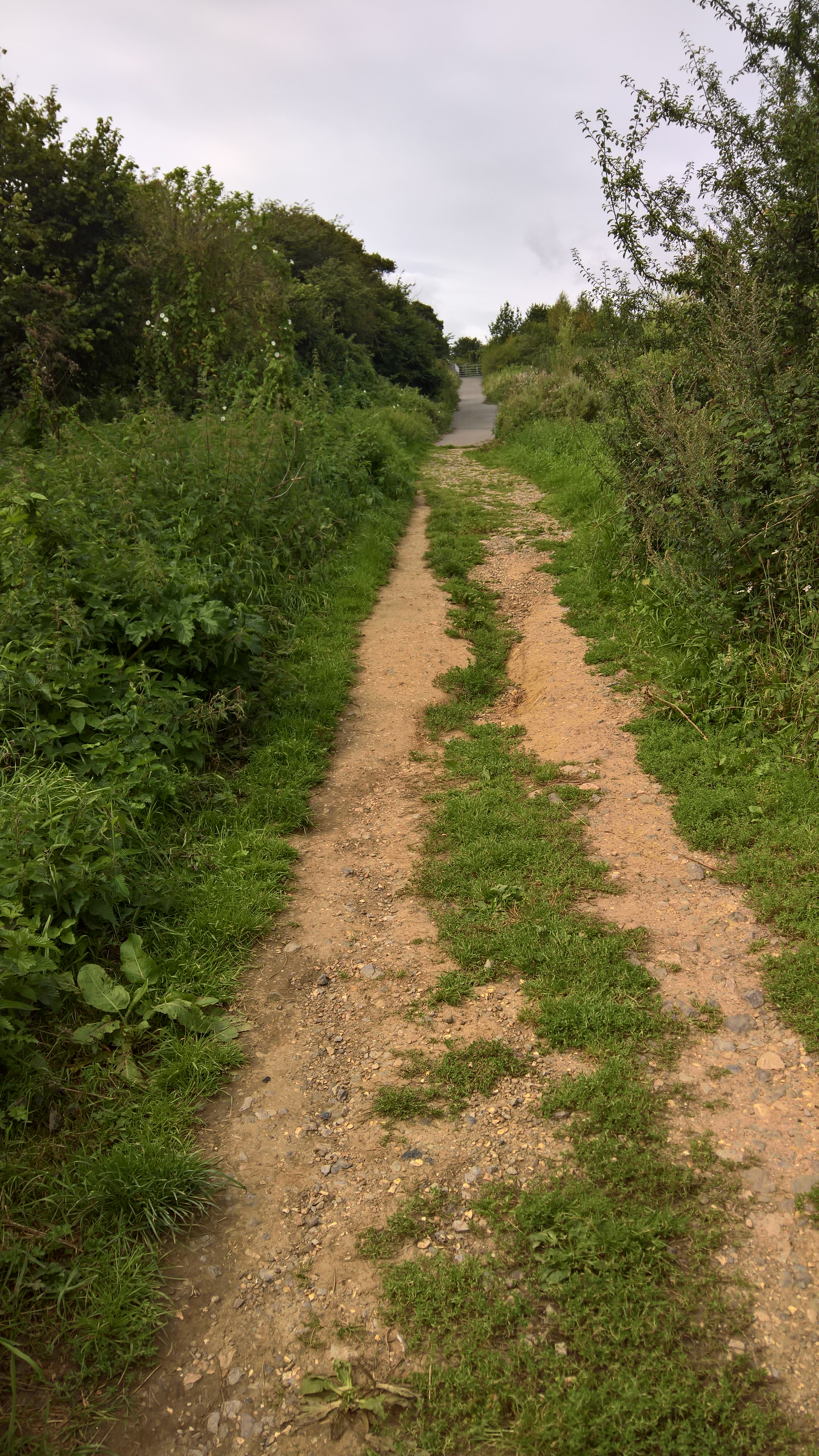 WP_20170820_11_10_11_Rich_LI