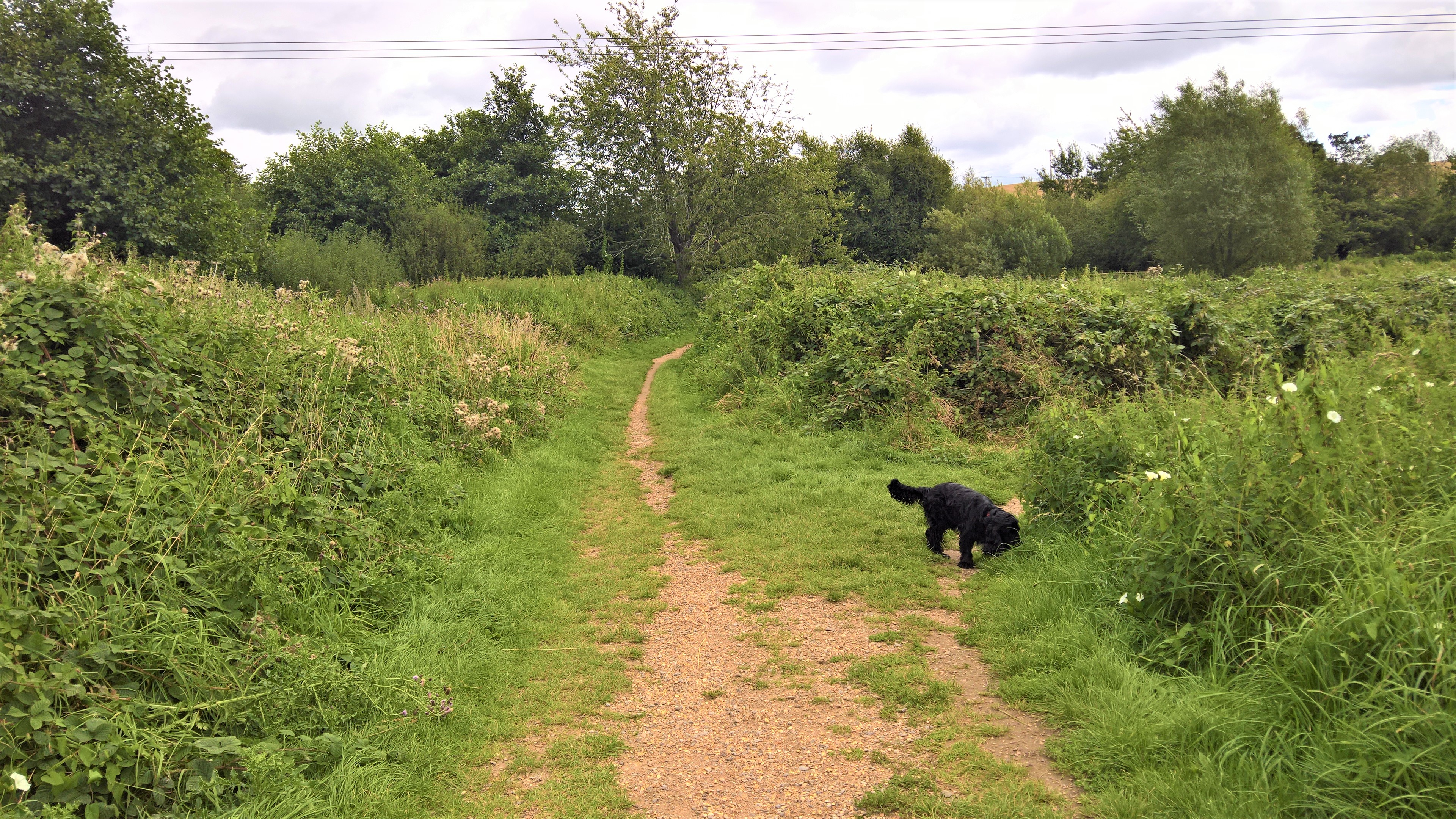 WP_20170820_11_17_45_Rich_LI