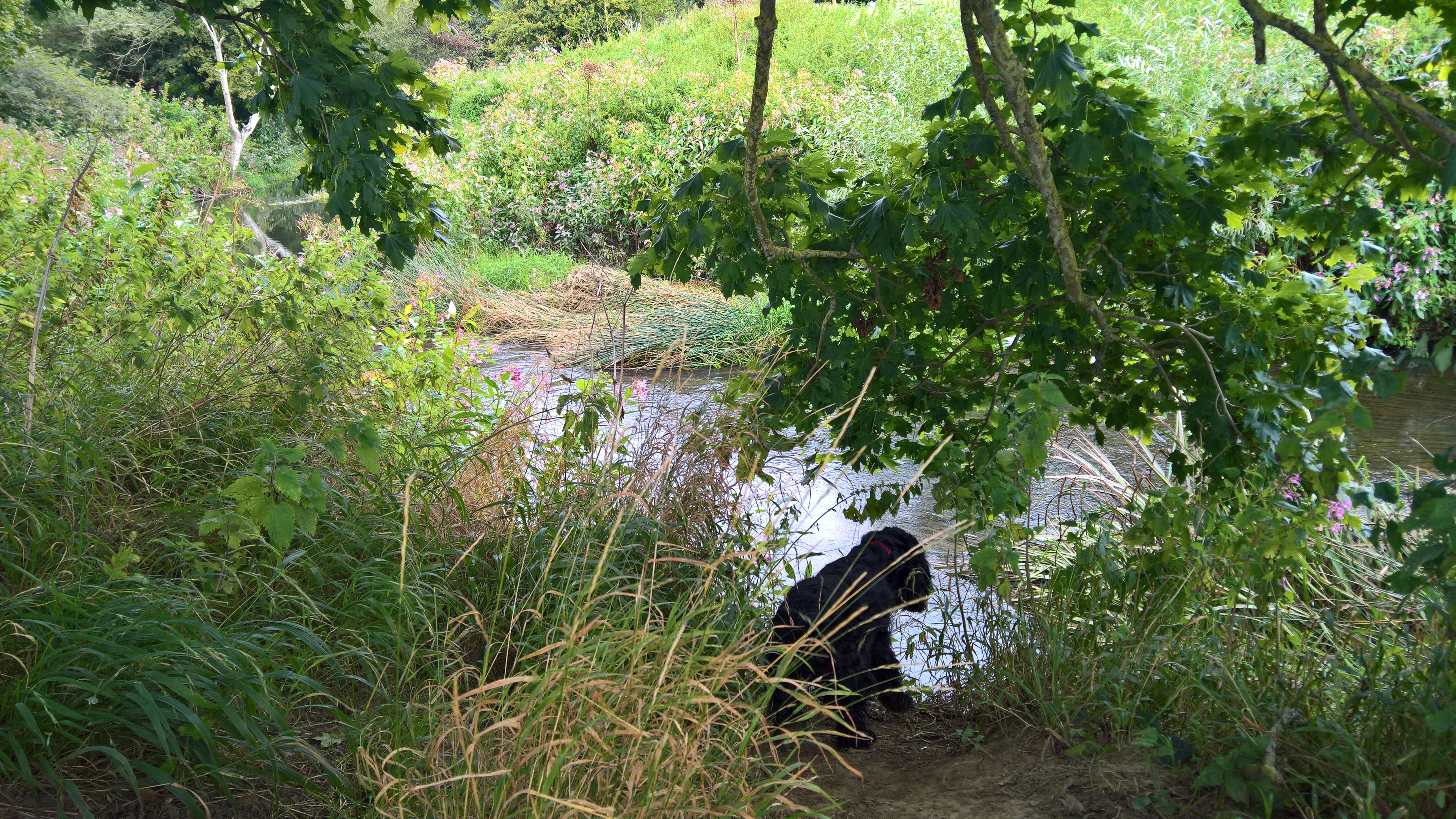 WP_20170820_11_21_50_Rich_LI