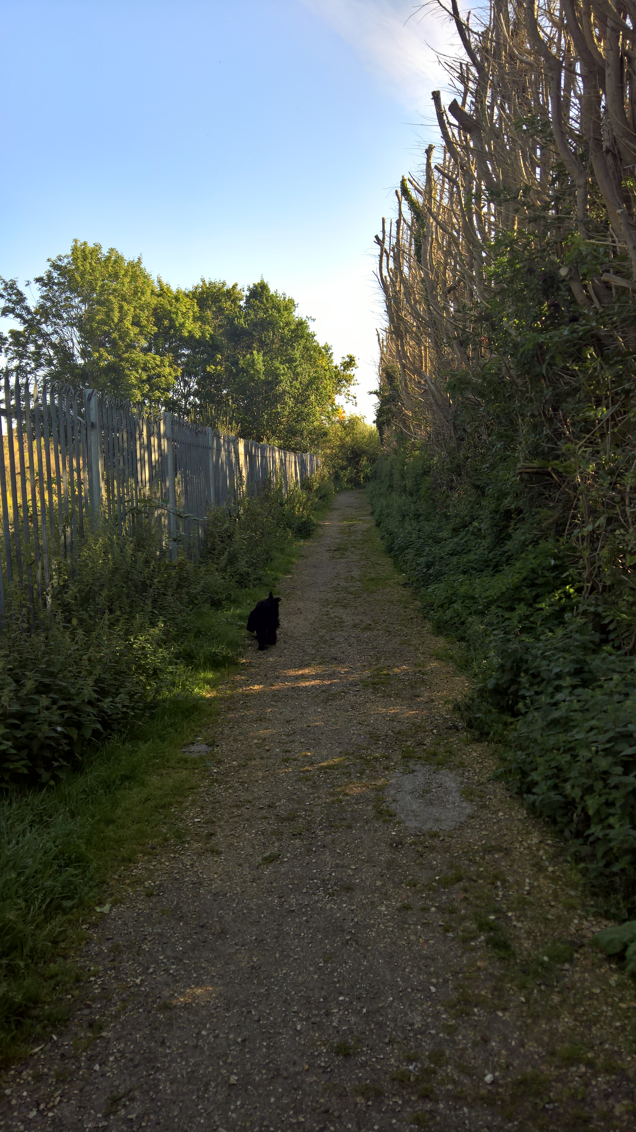 WP_20170827_09_12_40_Rich_LI