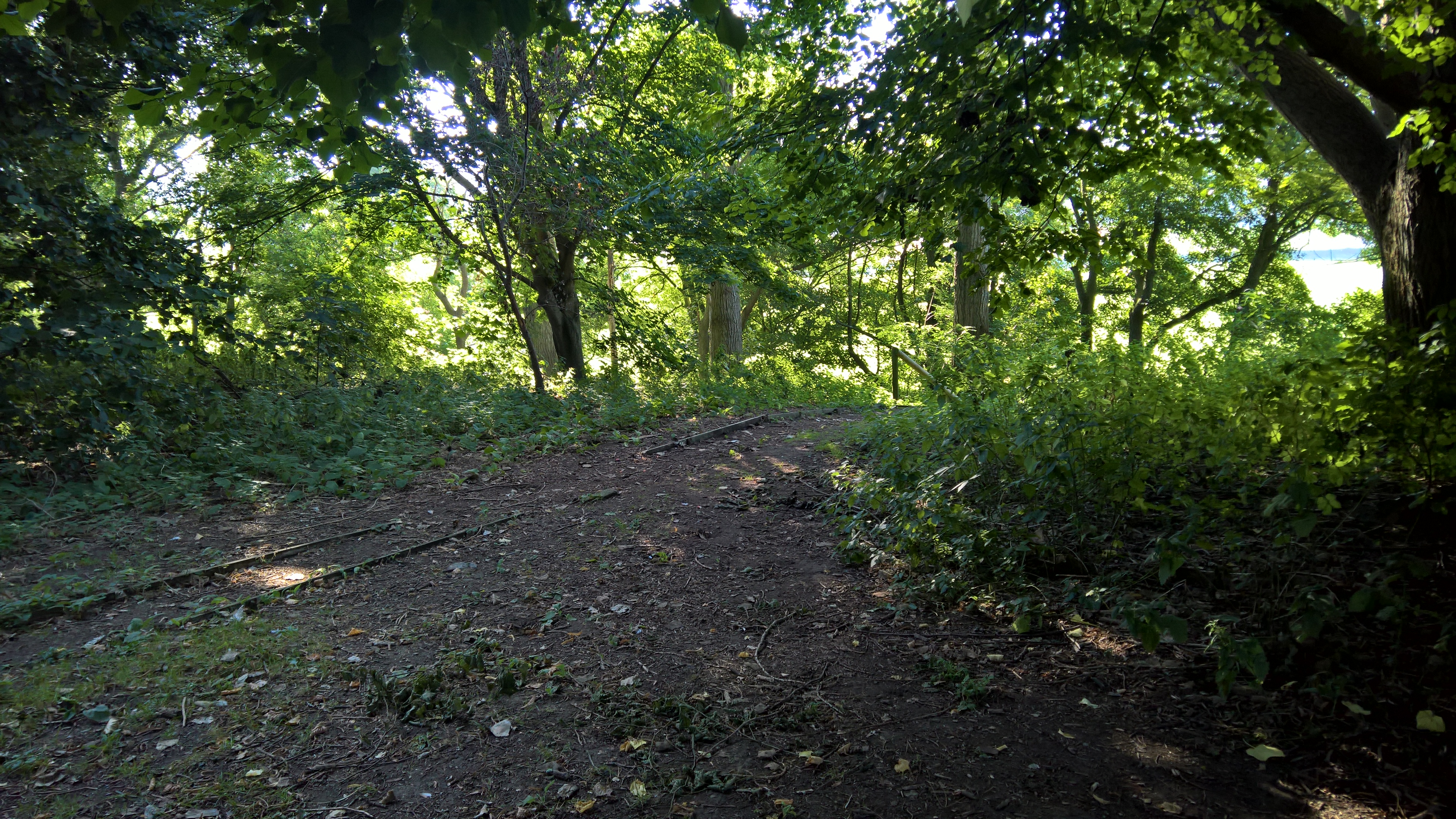 WP_20170827_09_23_14_Rich_LI