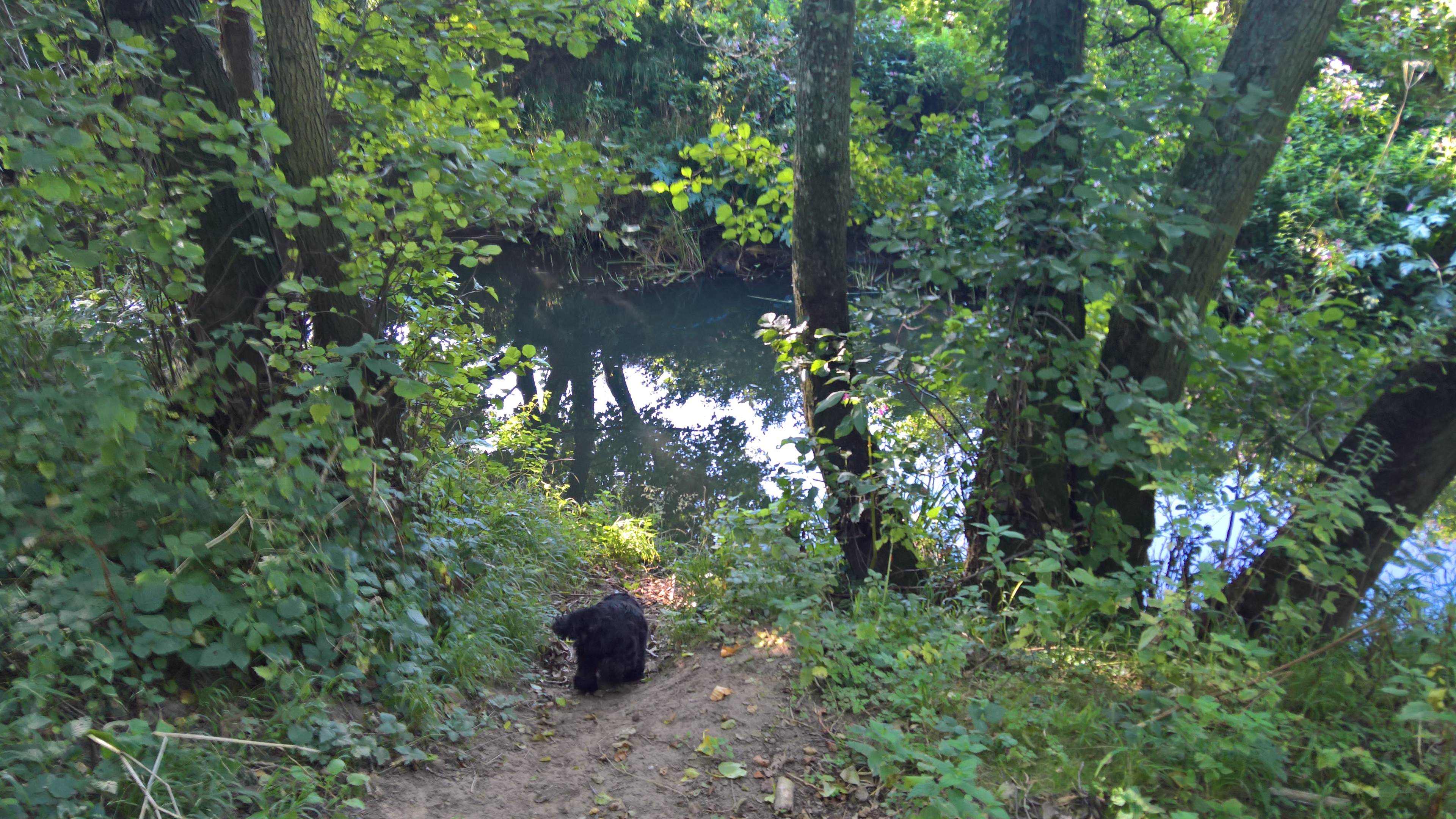 WP_20170827_09_23_51_Rich_LI