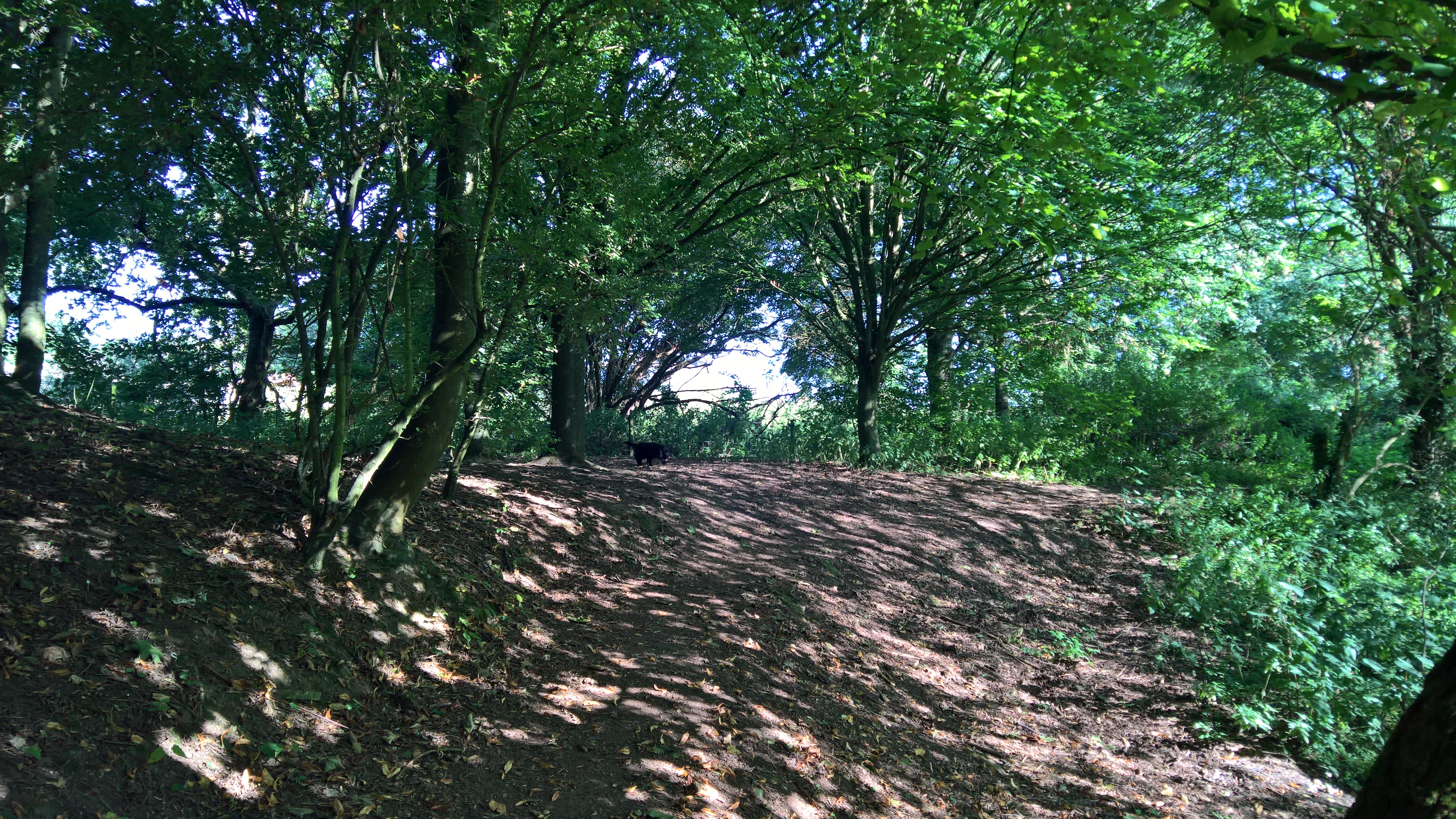 WP_20170827_09_28_56_Pro_LI