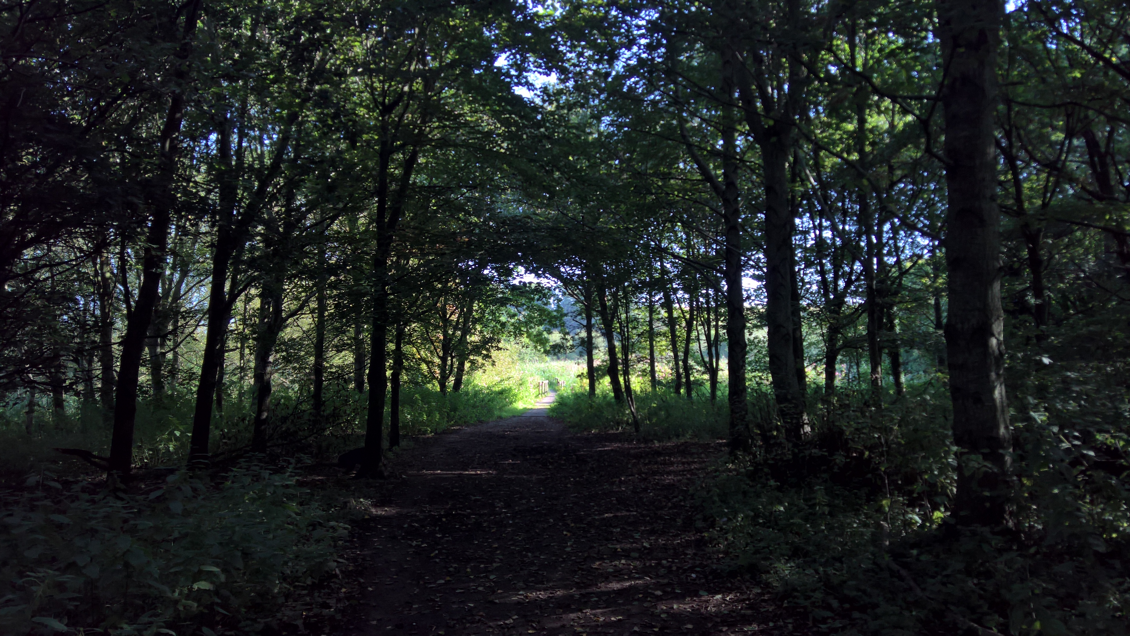 WP_20170827_09_34_00_Rich_LI