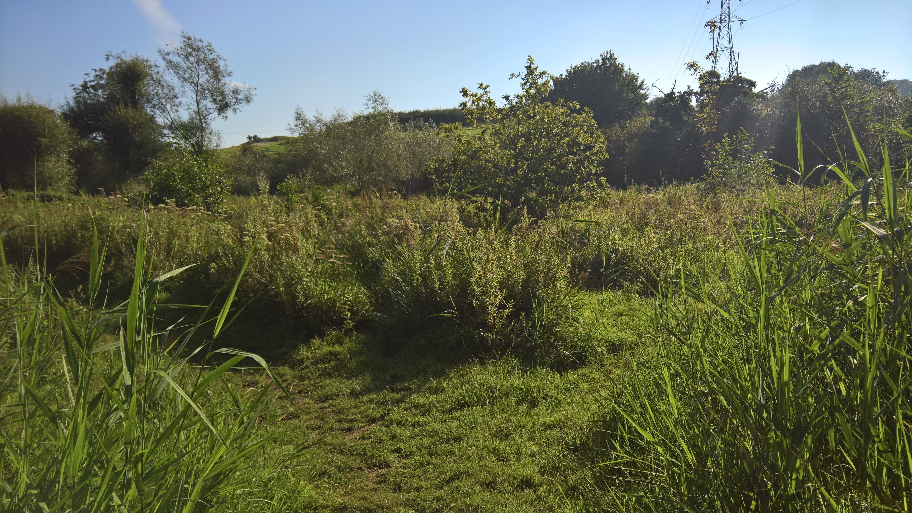 WP_20170827_09_36_32_Rich_LI