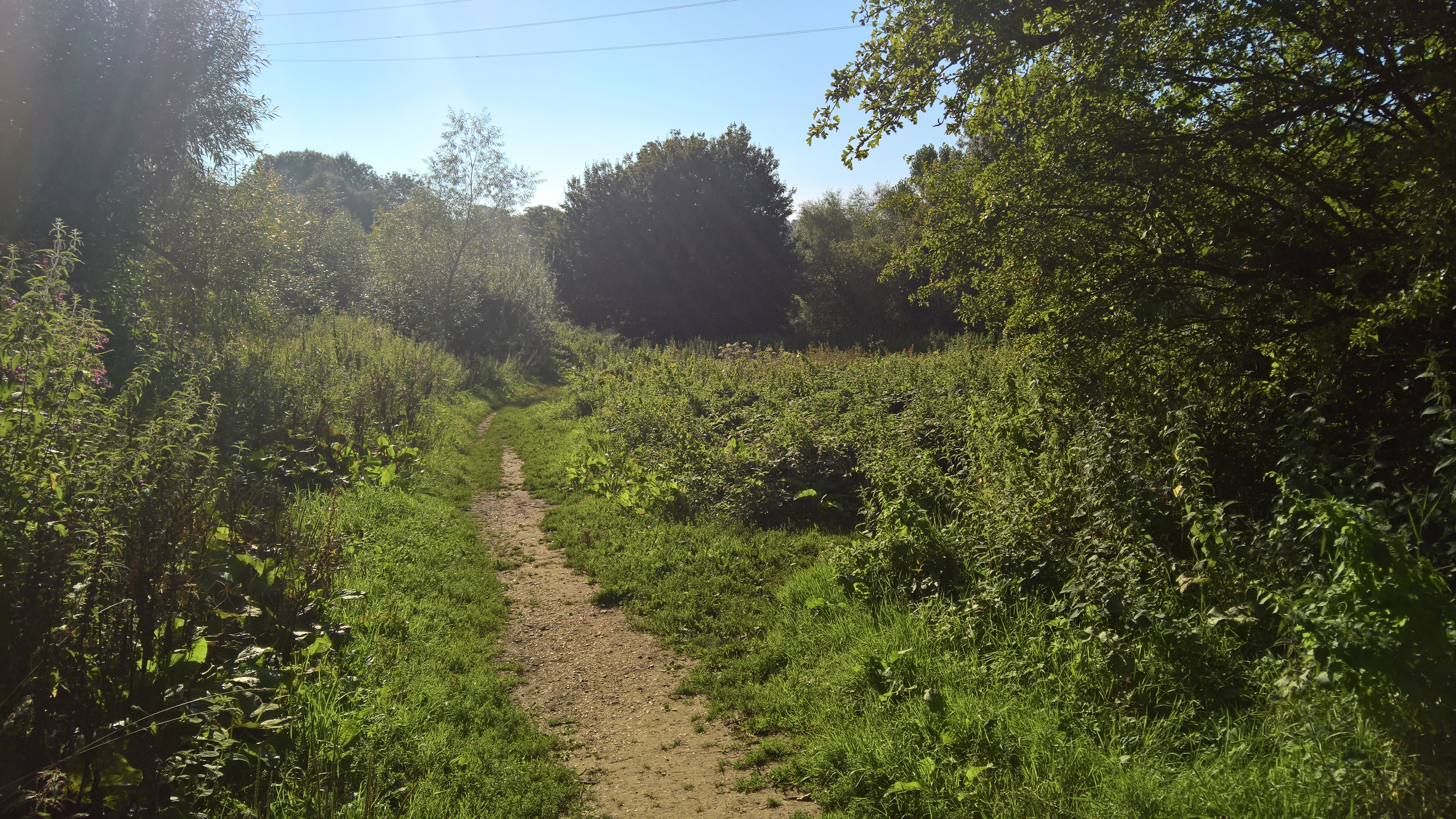 WP_20170827_09_40_14_Rich_LI