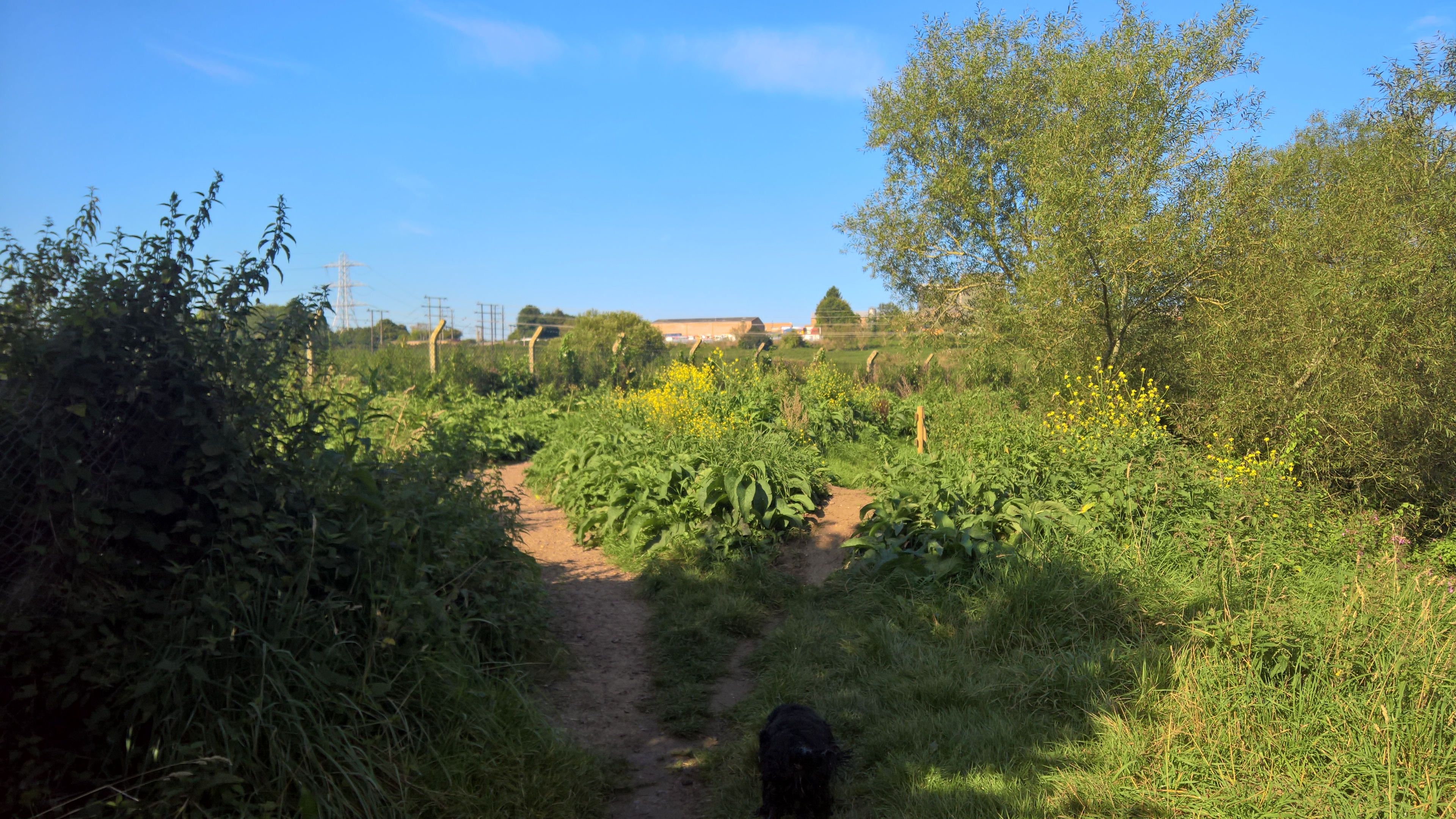 WP_20170827_09_45_00_Rich_LI