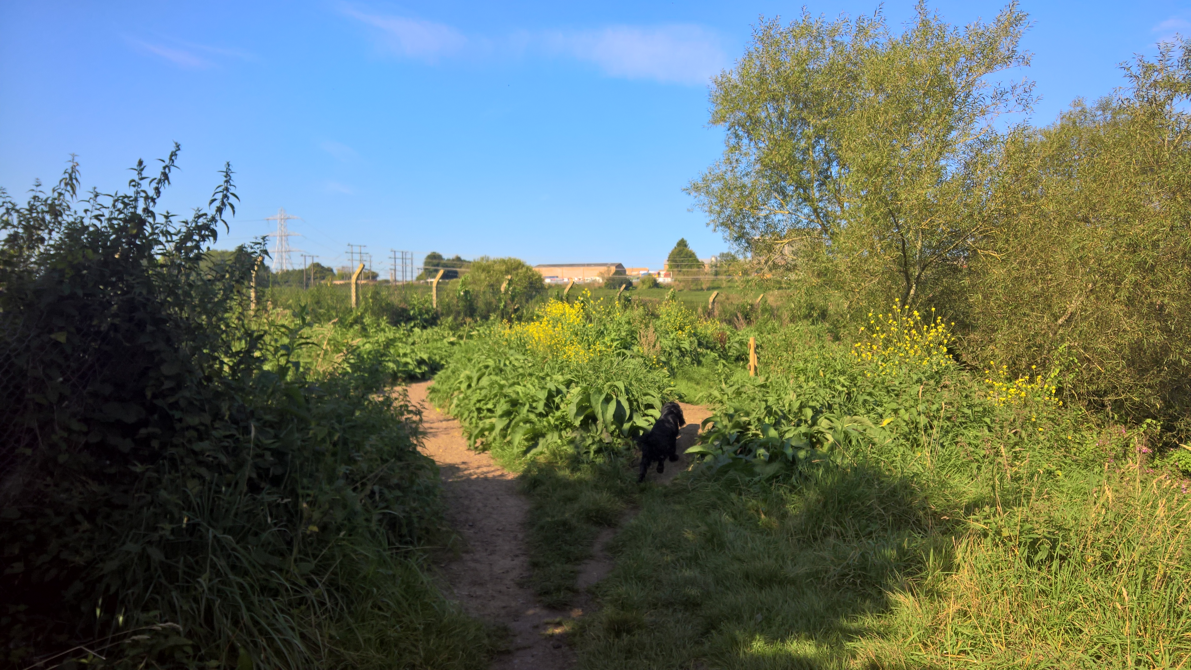 WP_20170827_09_45_02_Rich_LI