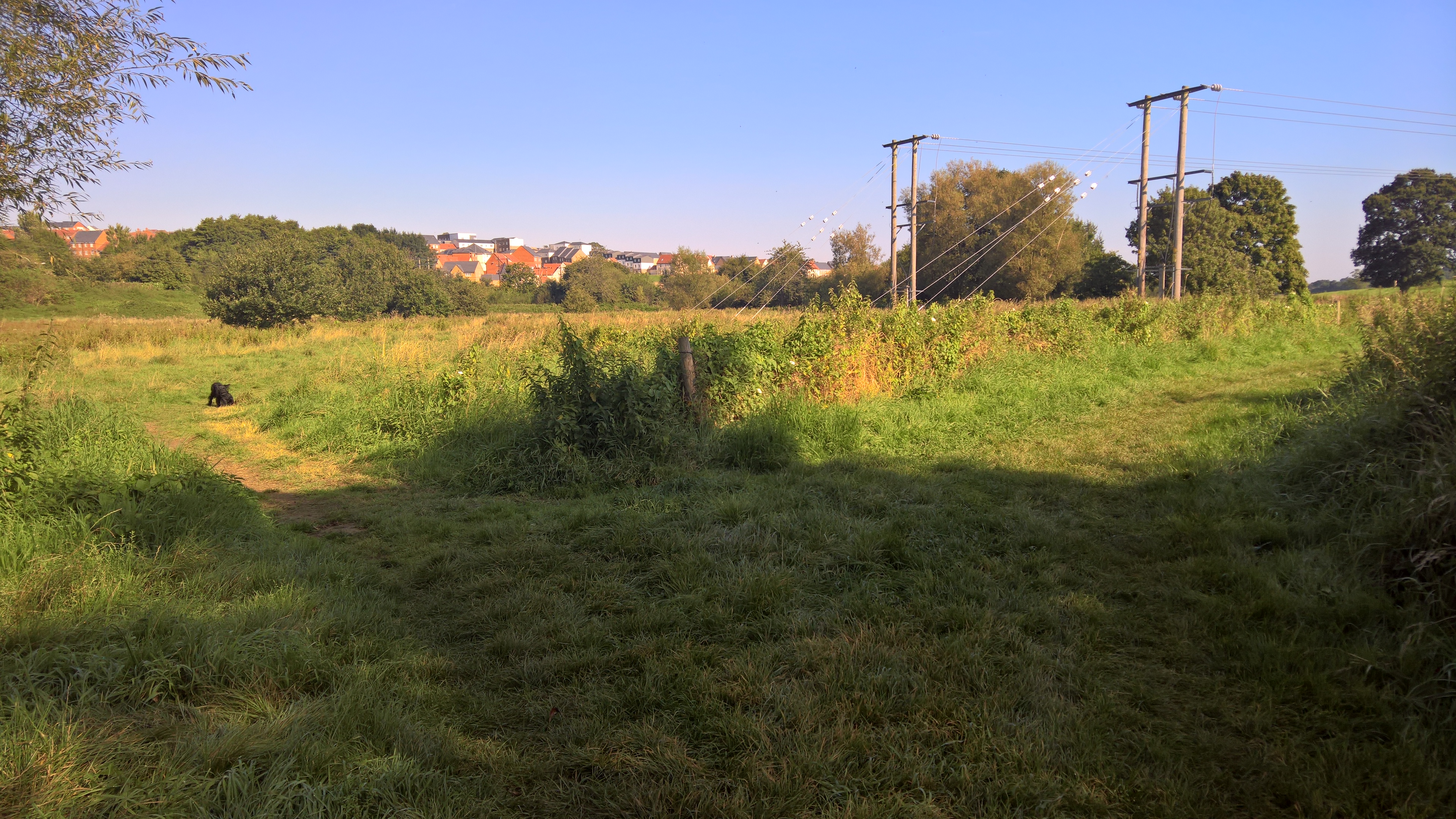 WP_20170827_09_46_56_Rich_LI