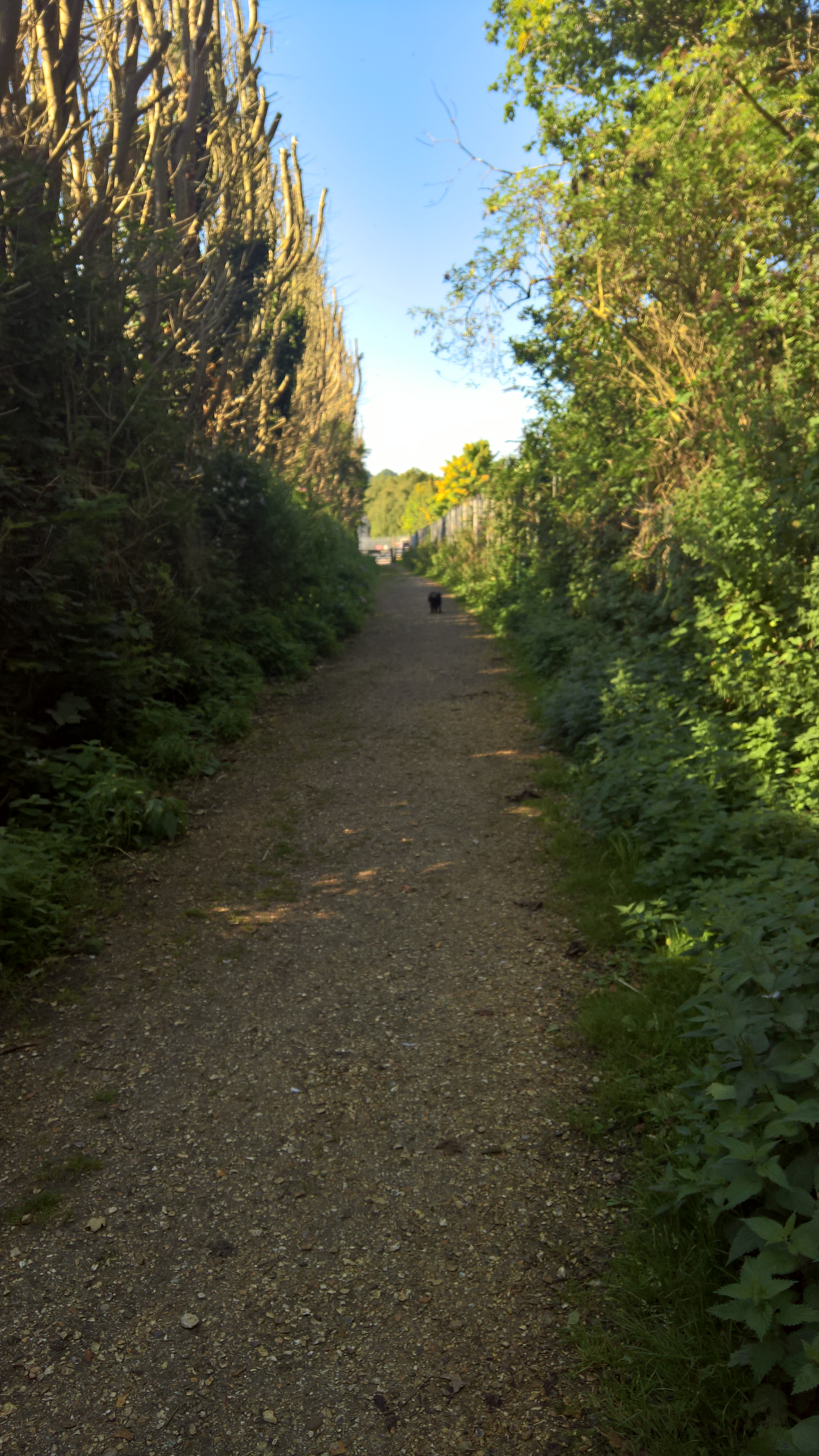 WP_20170827_10_05_50_Rich_LI