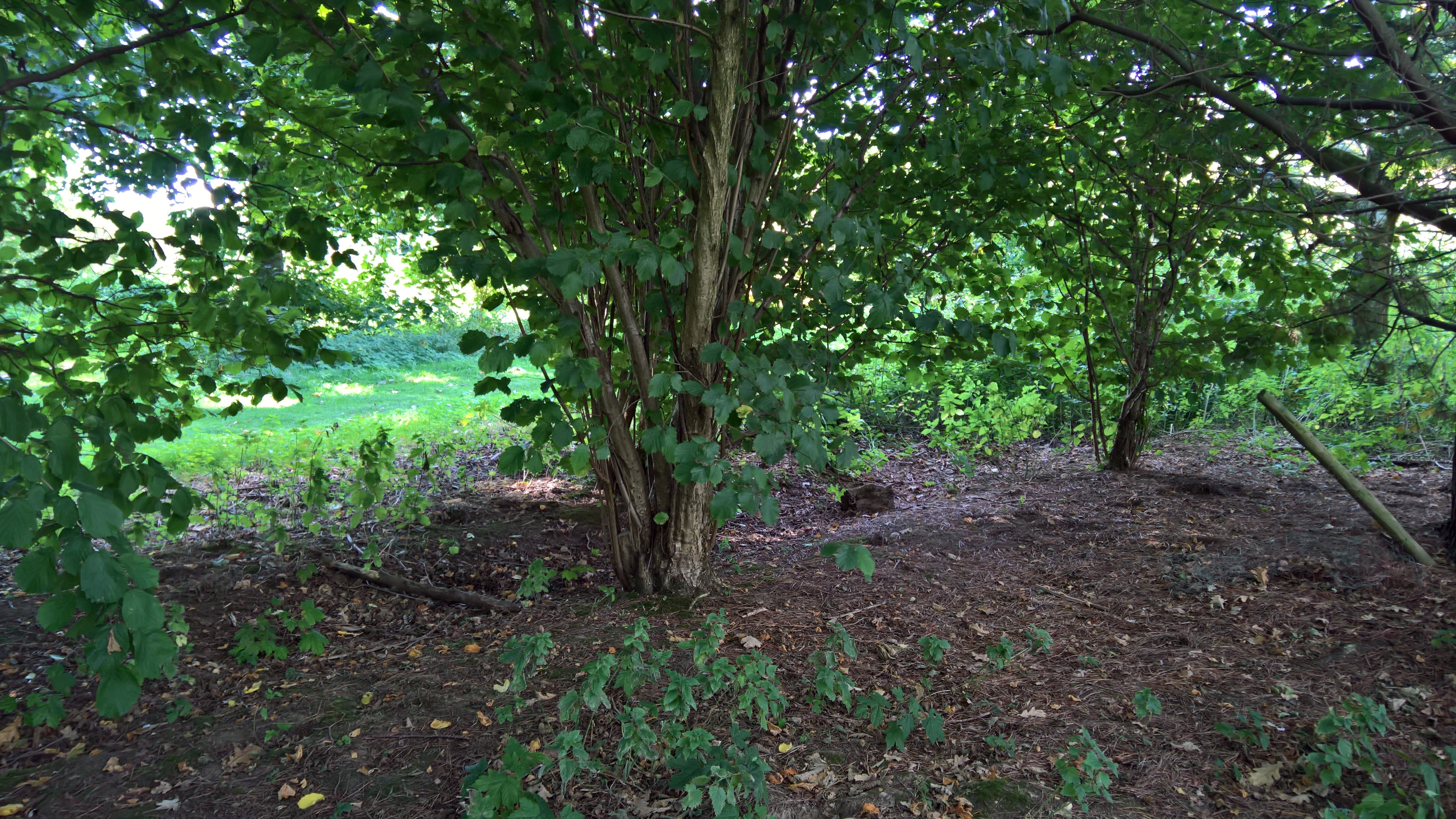 WP_20170831_11_10_56_Rich_LI