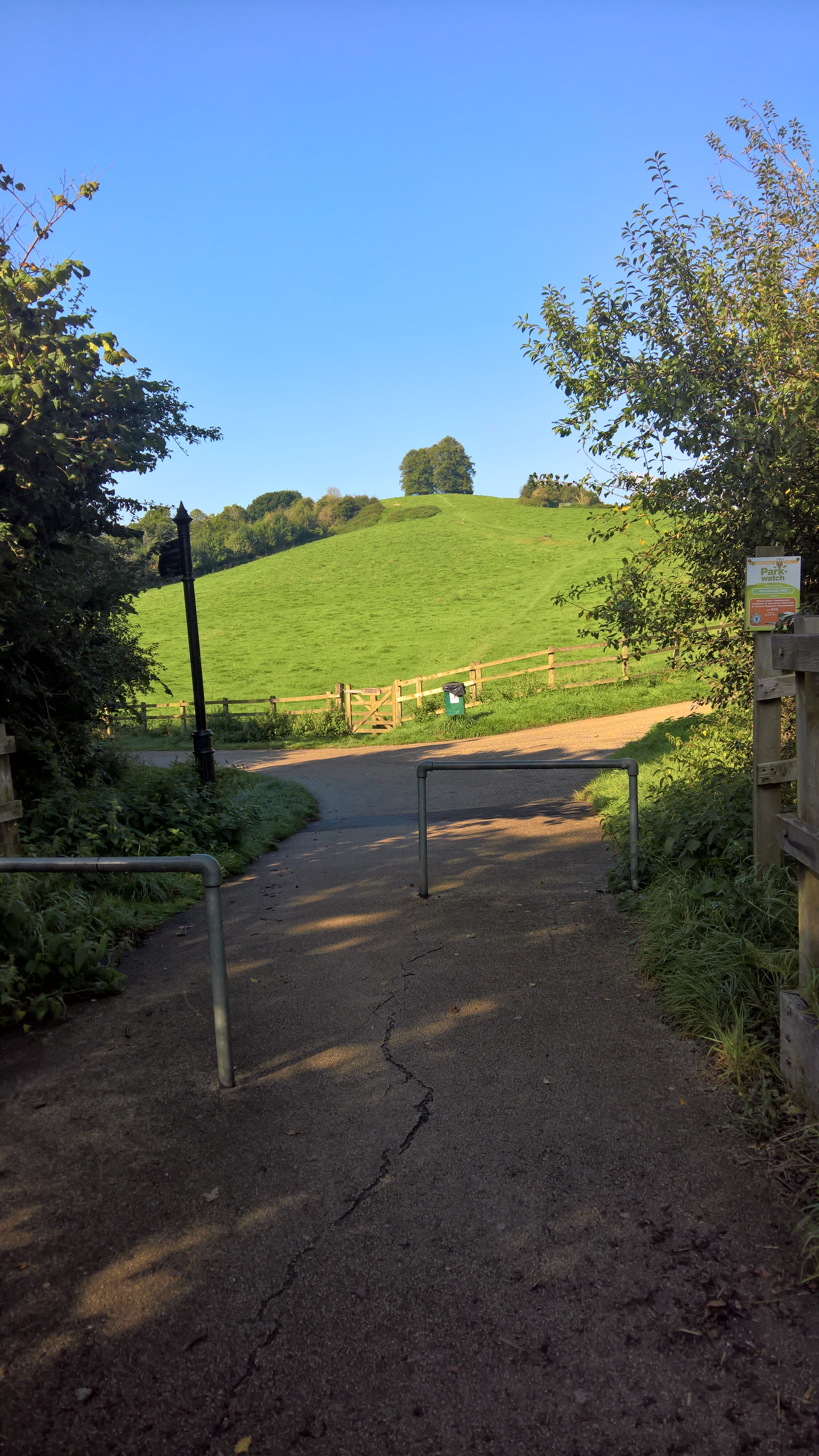 WP_20170901_10_06_00_Pro_LI