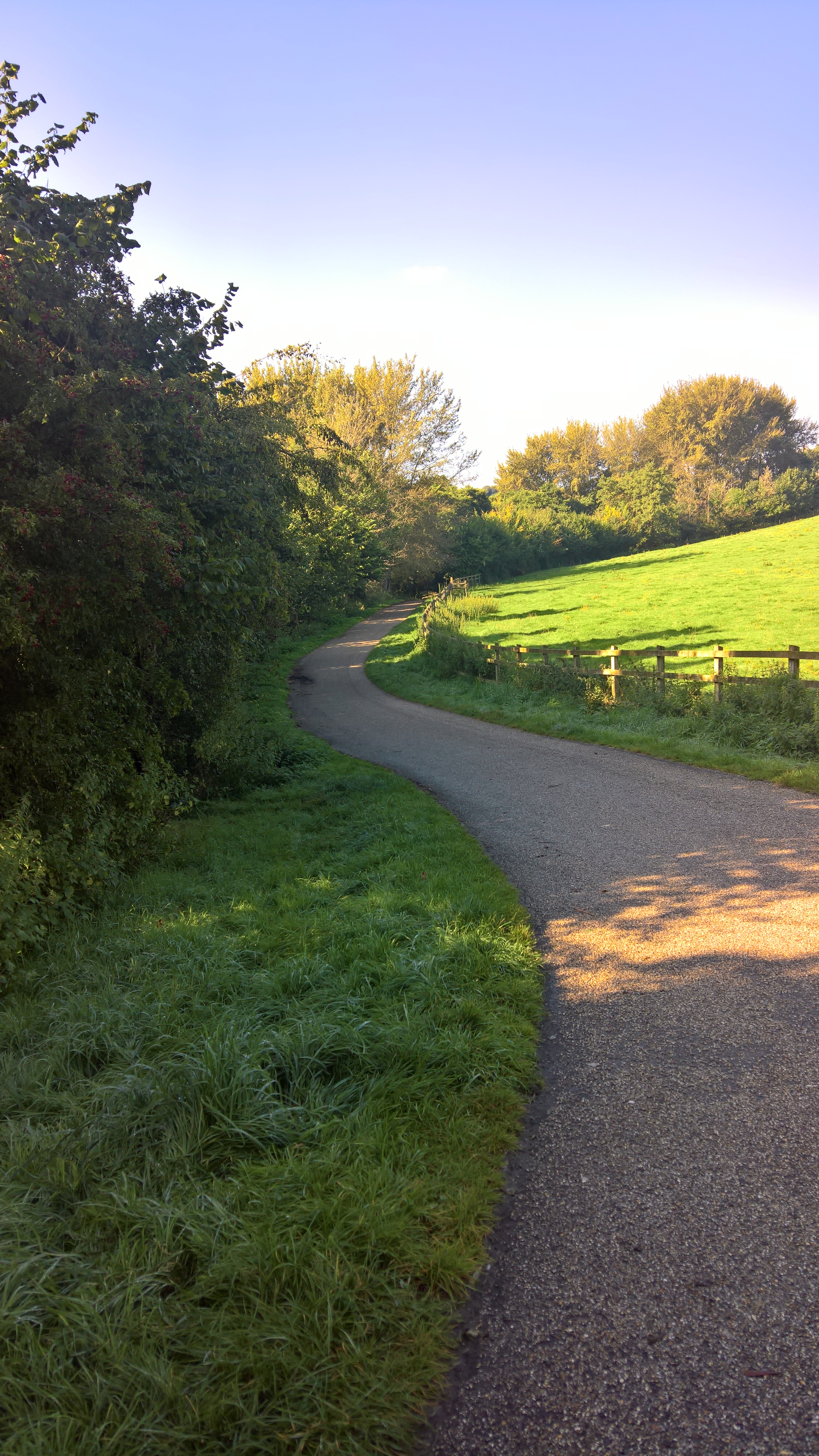 WP_20170901_10_06_43_Pro_LI