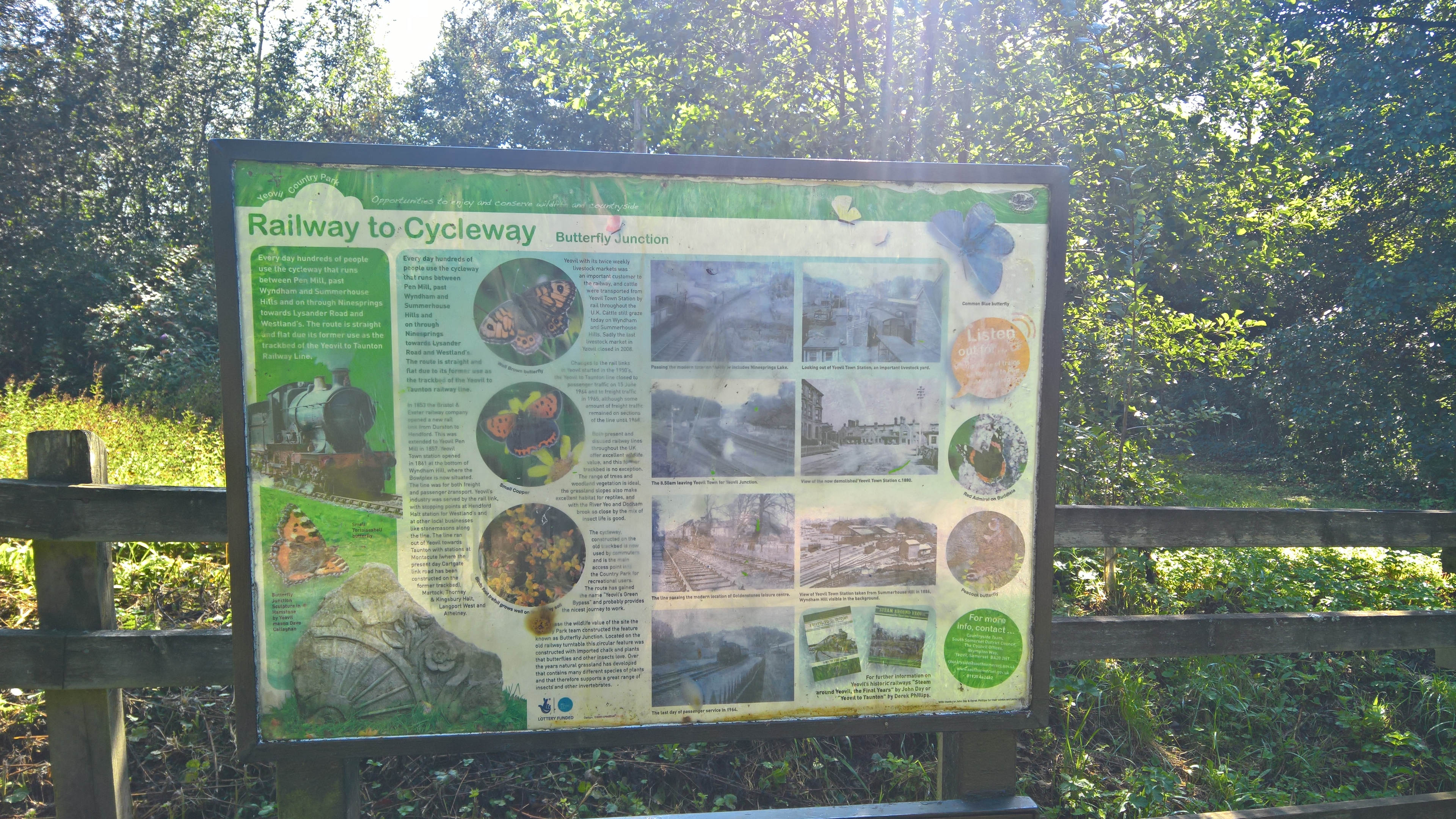 WP_20170901_10_11_57_Pro_LI