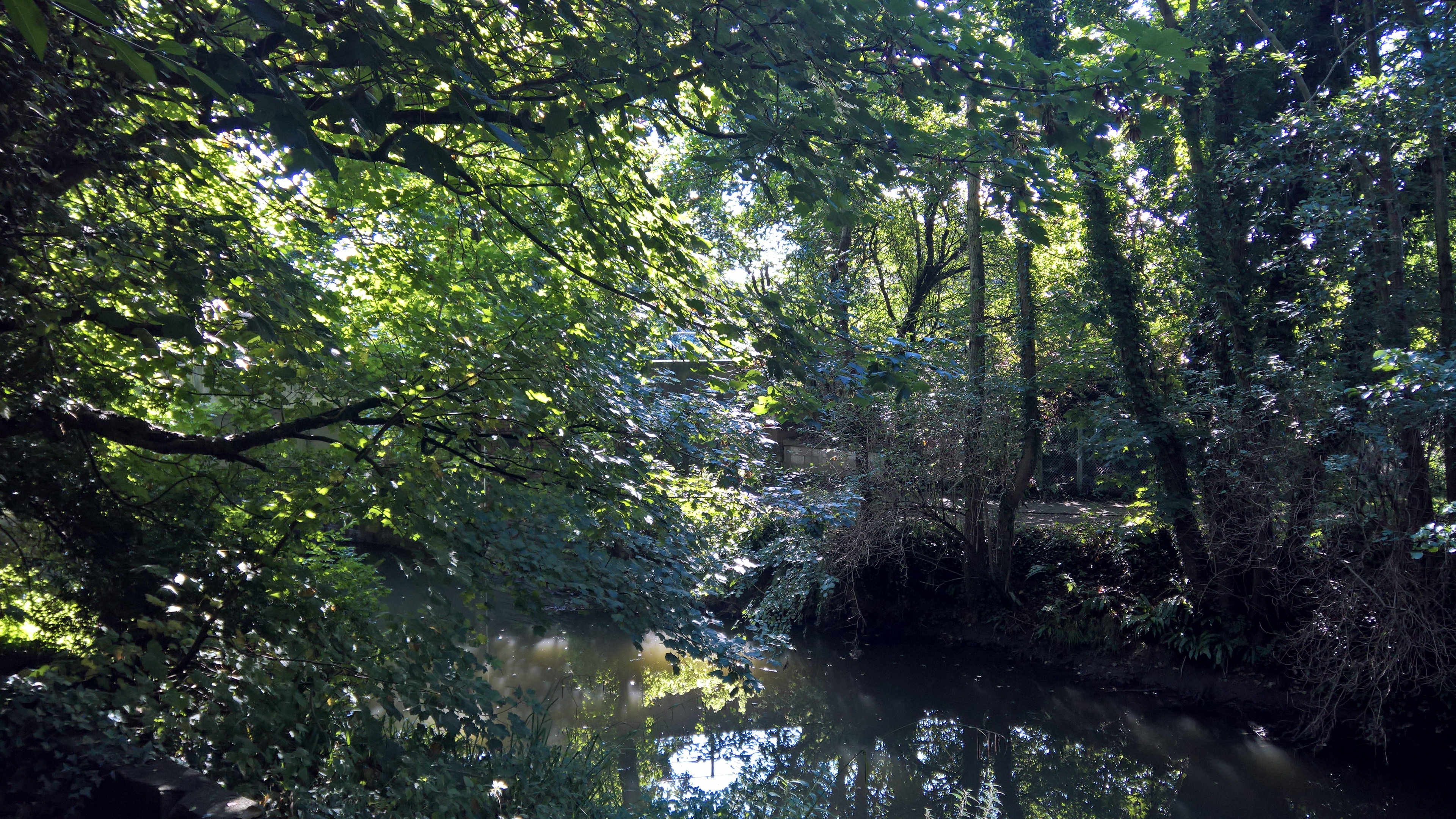 WP_20170901_10_13_35_Pro_LI