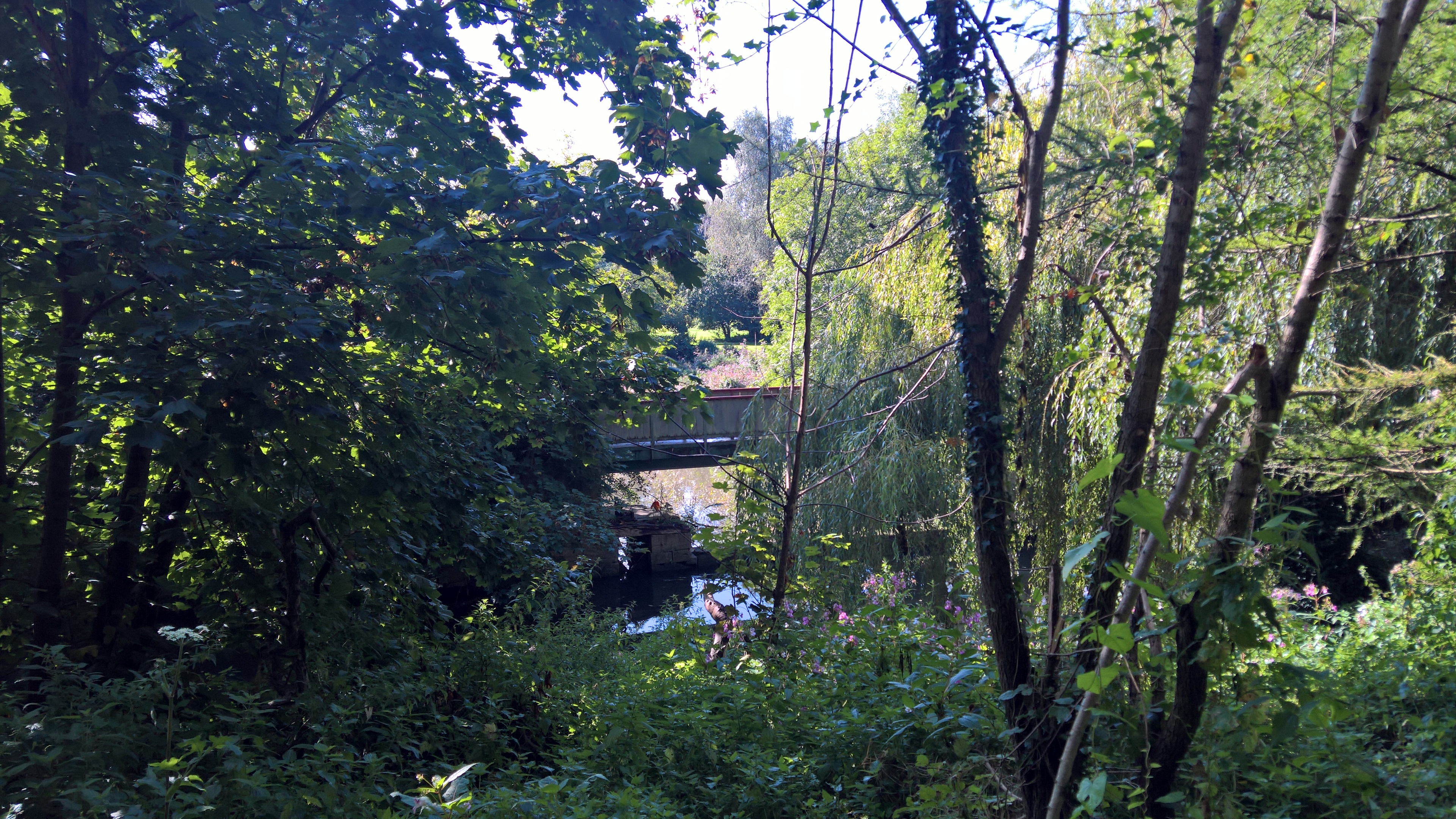 WP_20170901_10_18_29_Pro_LI