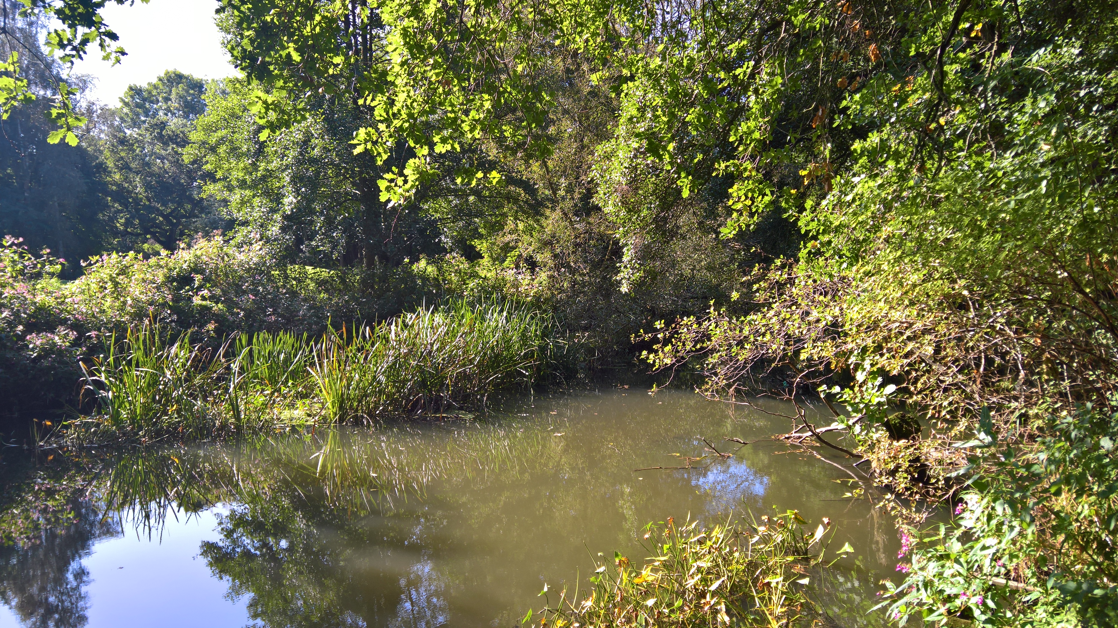 WP_20170901_10_23_05_Pro_LI