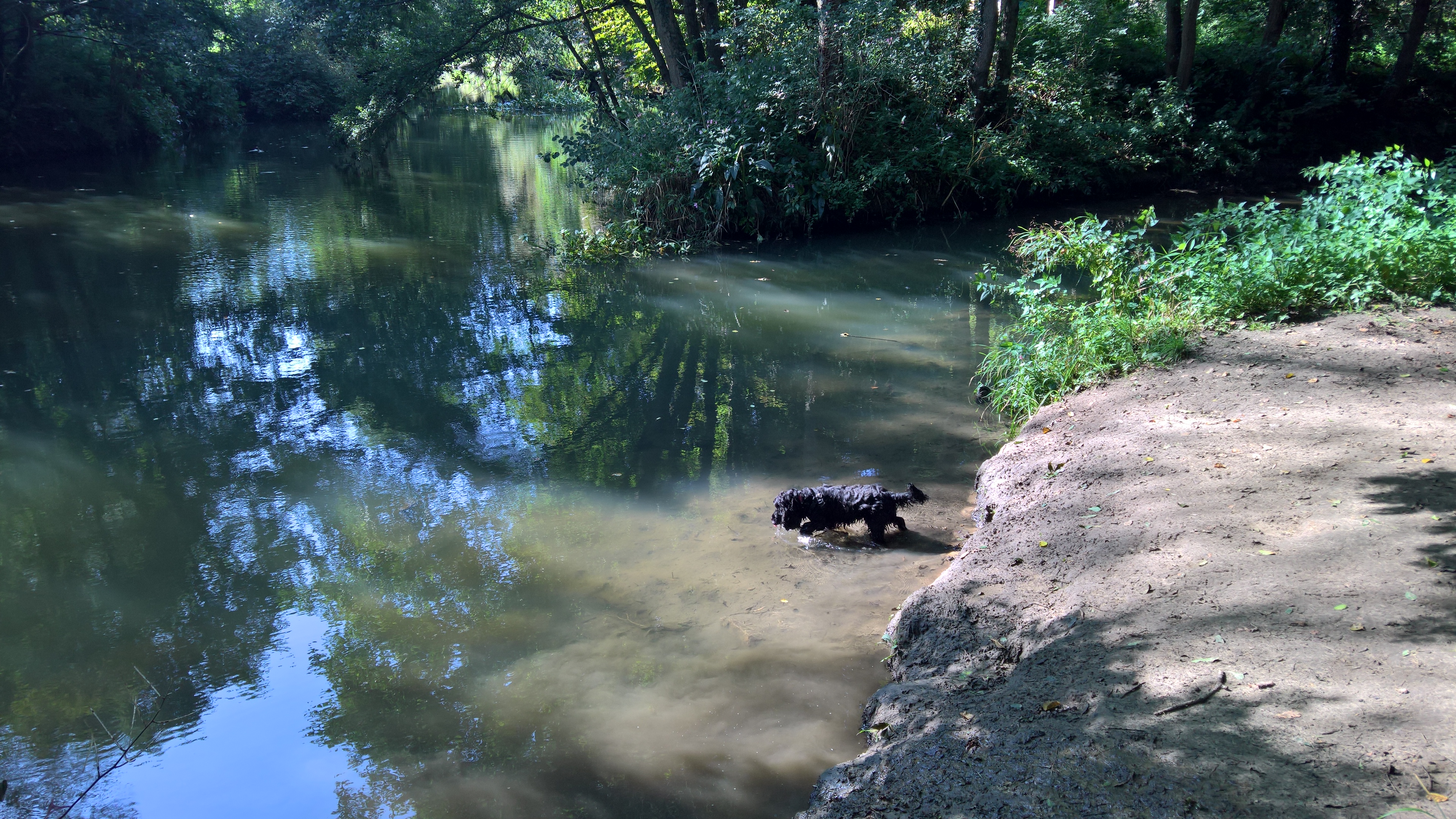 WP_20170901_10_24_27_Pro_LI