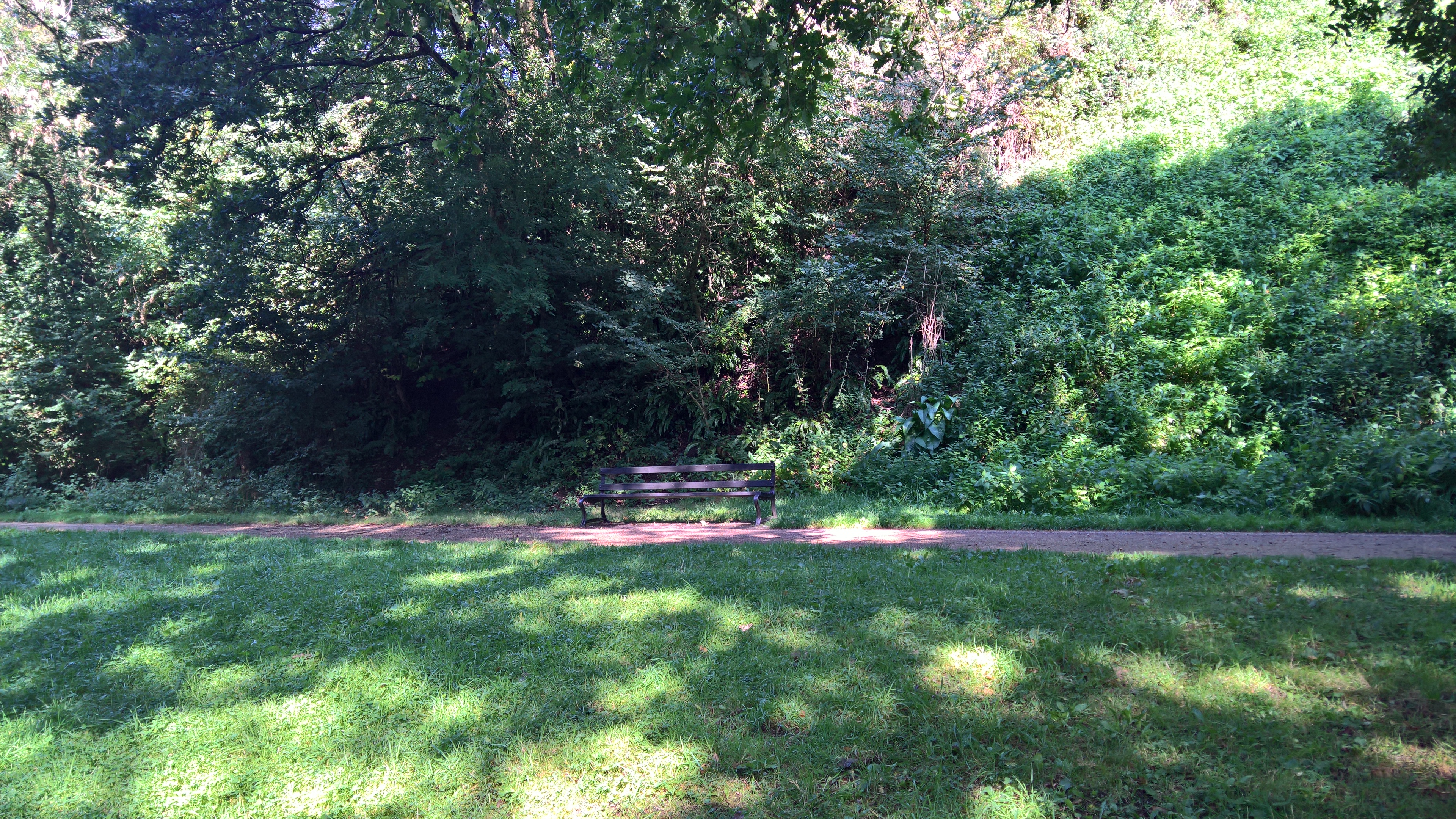 WP_20170901_10_26_20_Pro_LI