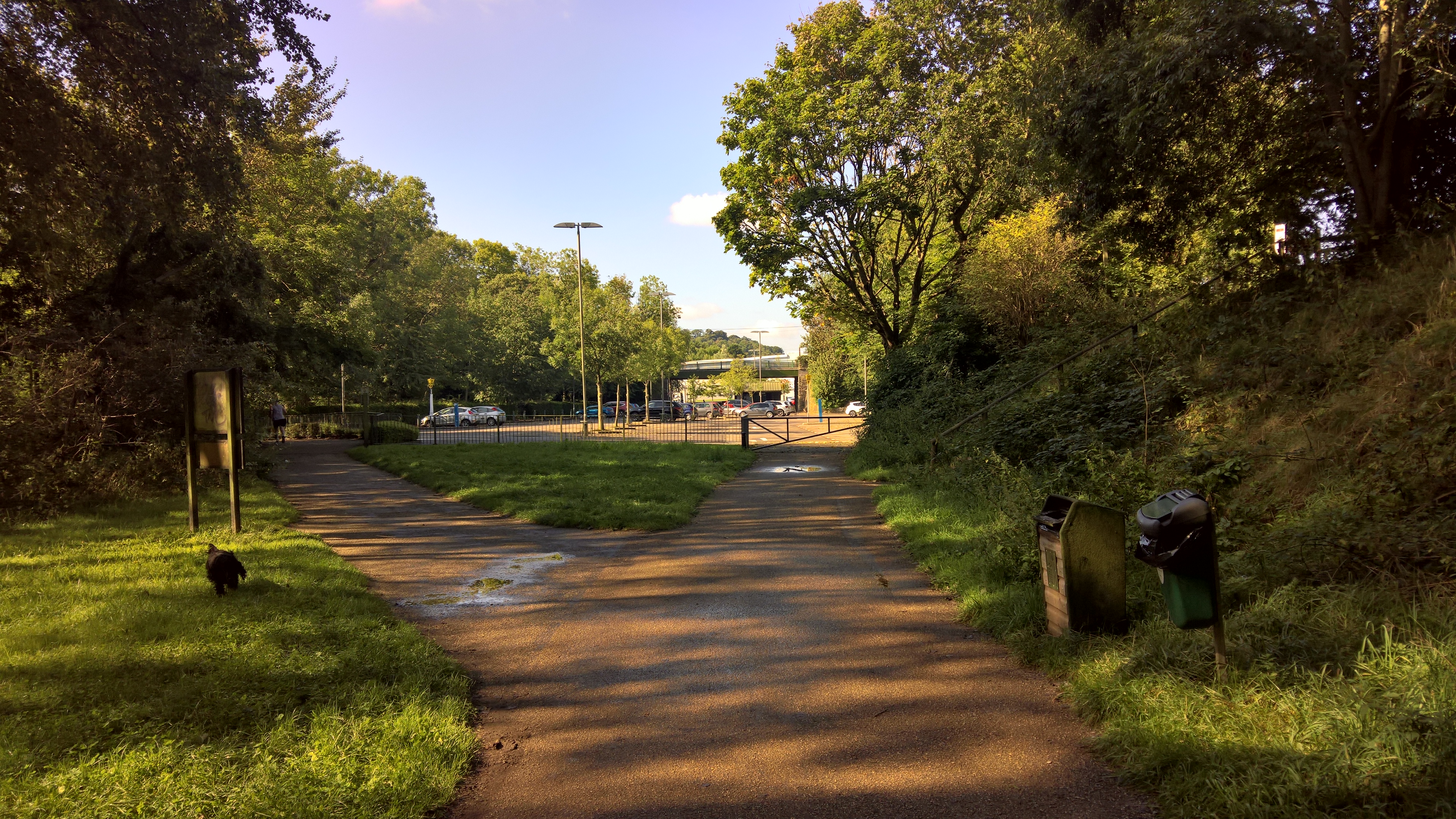 WP_20170901_10_28_27_Pro