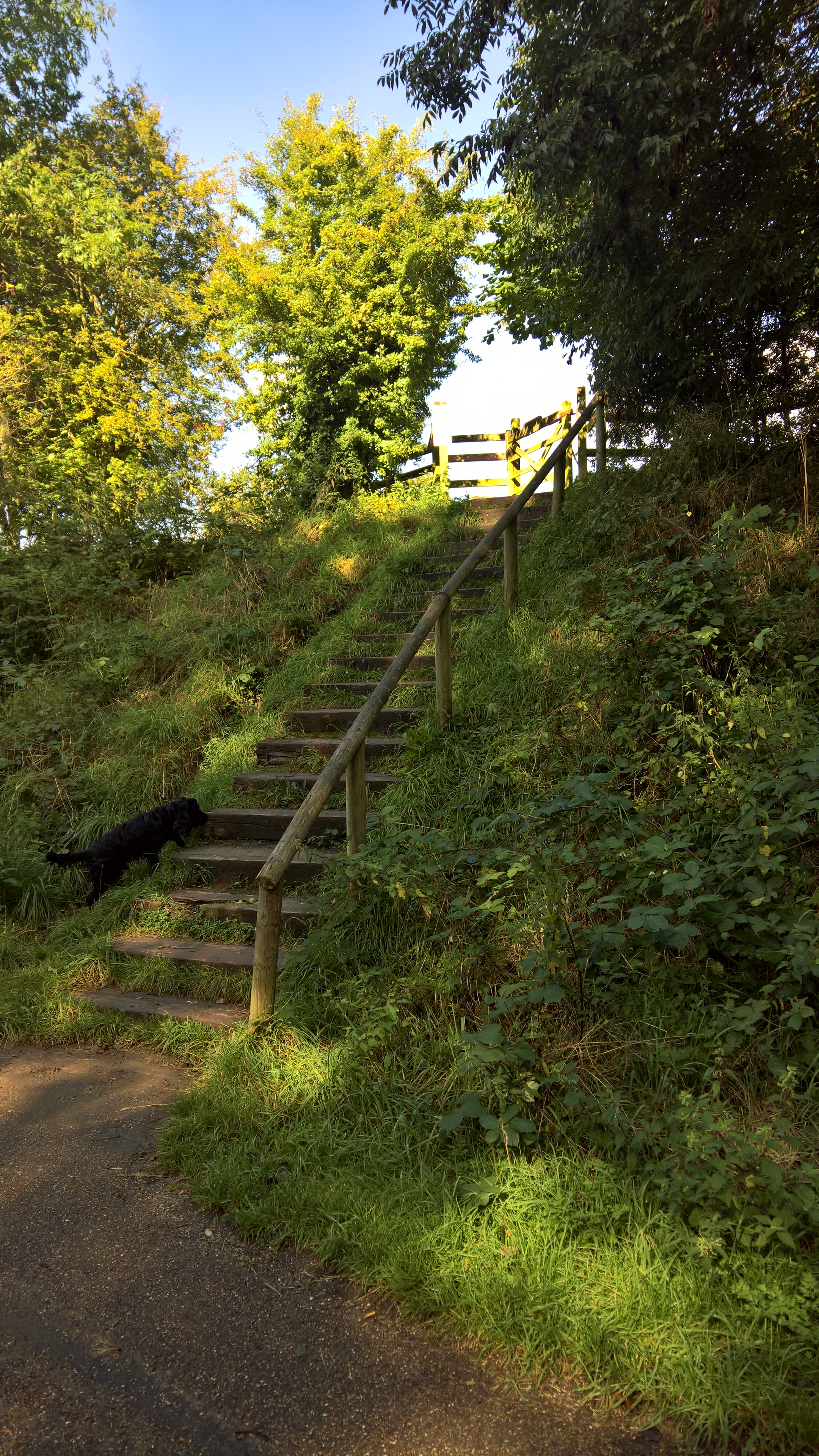 WP_20170901_10_29_04_Pro_LI