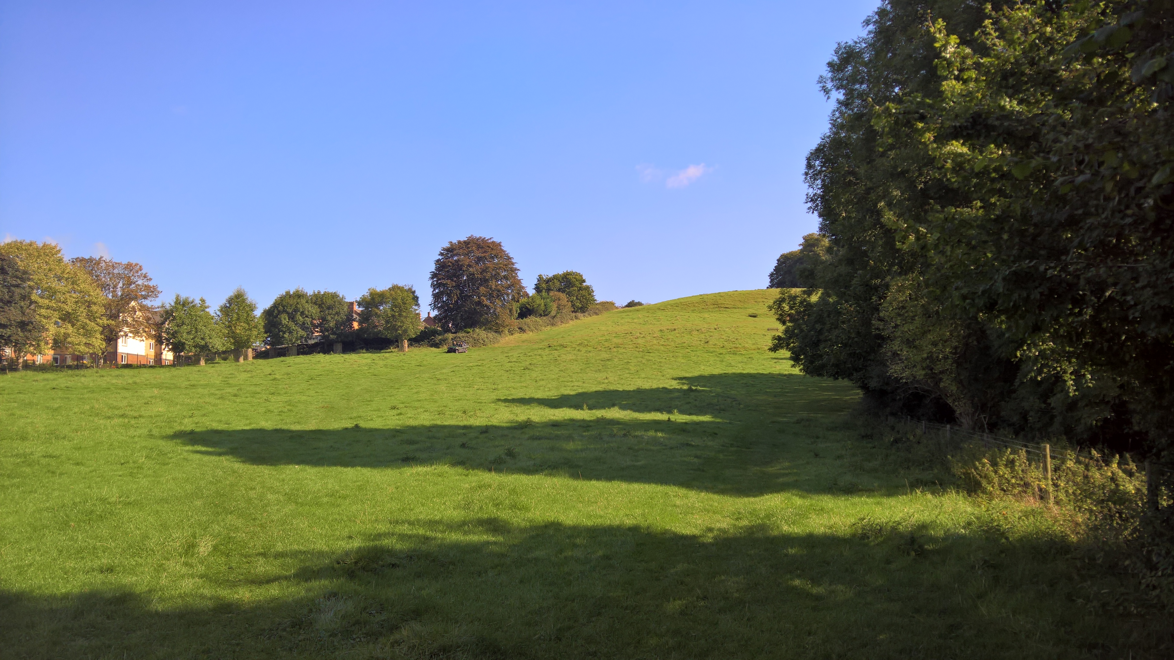 WP_20170901_10_29_49_Pro_LI