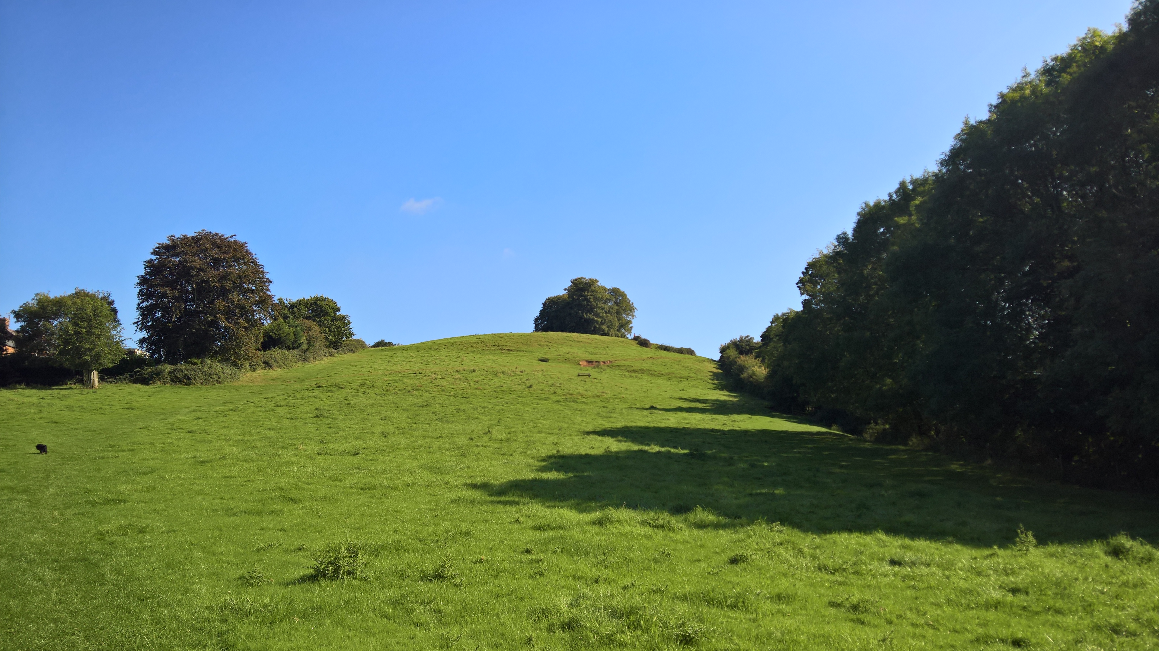 WP_20170901_10_30_26_Pro_LI