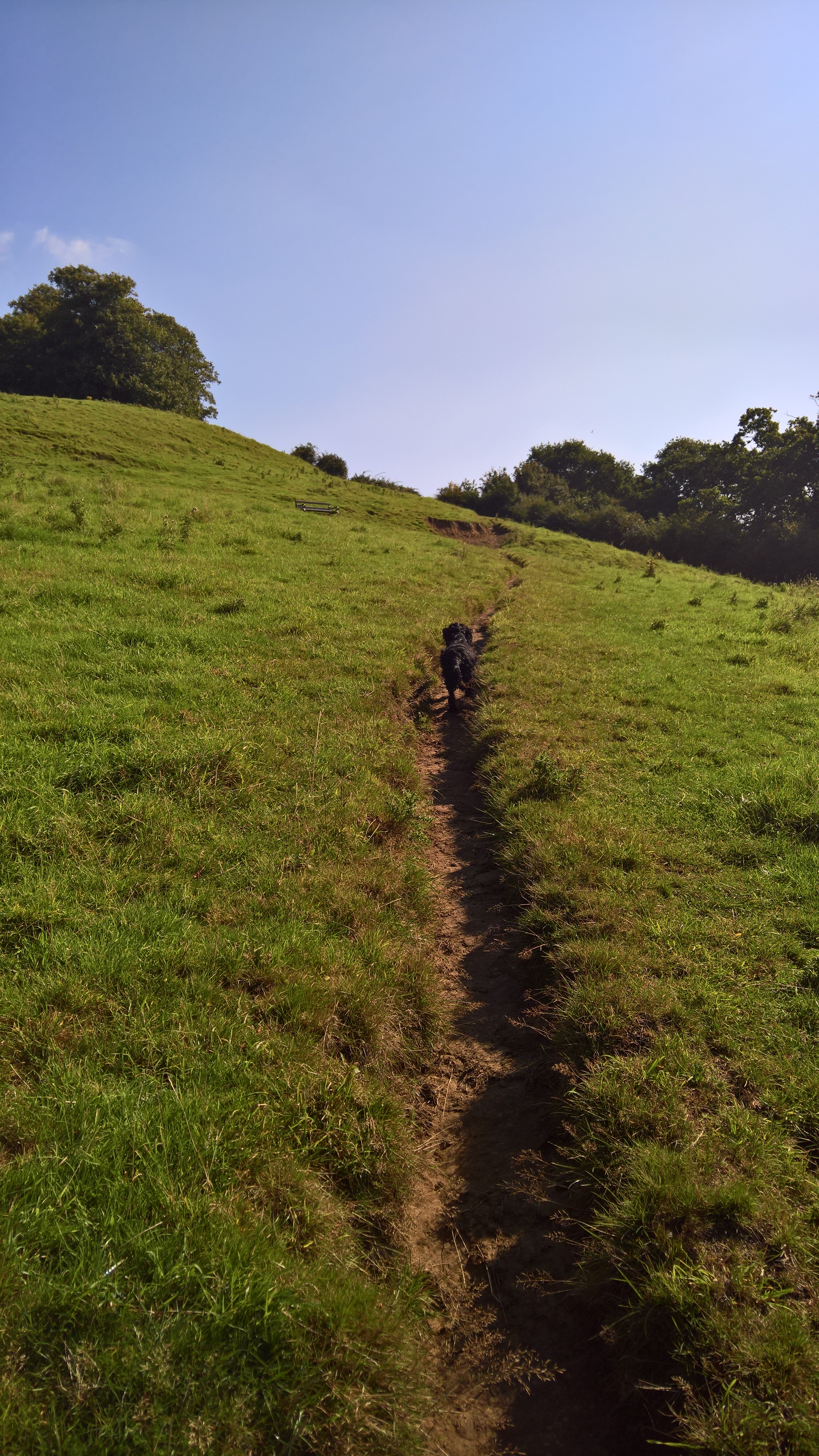 WP_20170901_10_32_37_Pro_LI