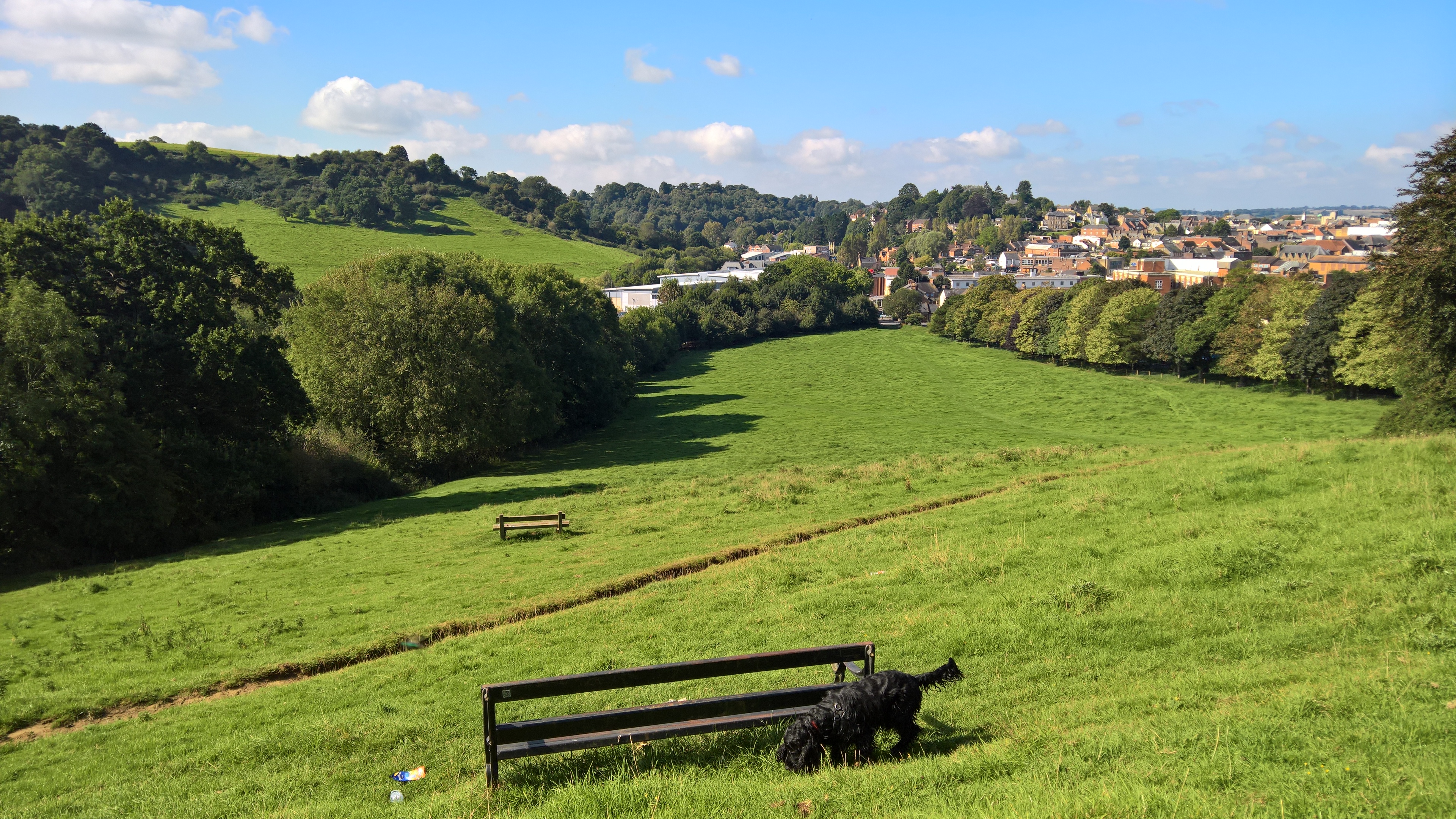 WP_20170901_10_35_03_Pro_LI