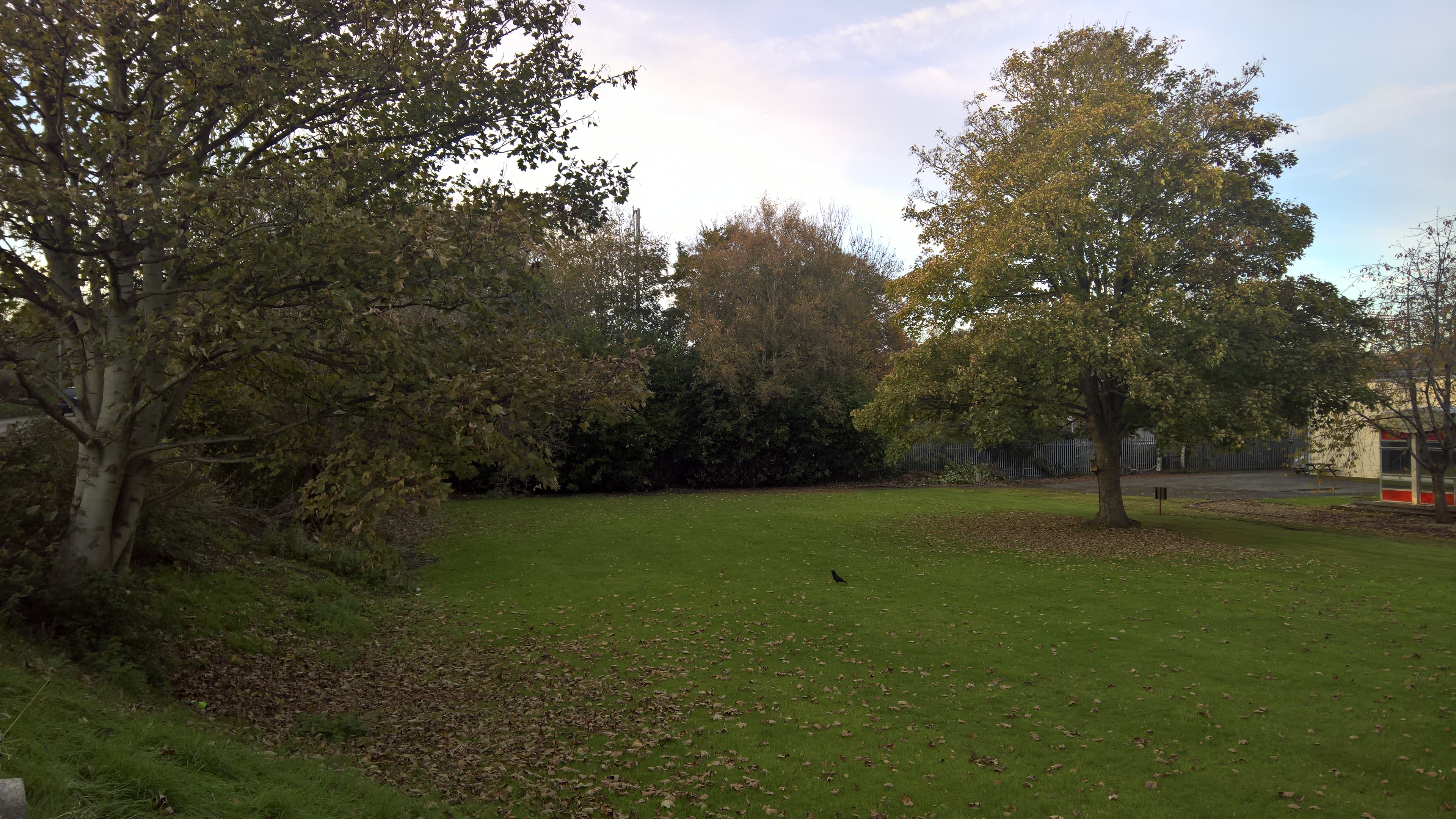 WP_20171108_15_30_04_Pro_LI