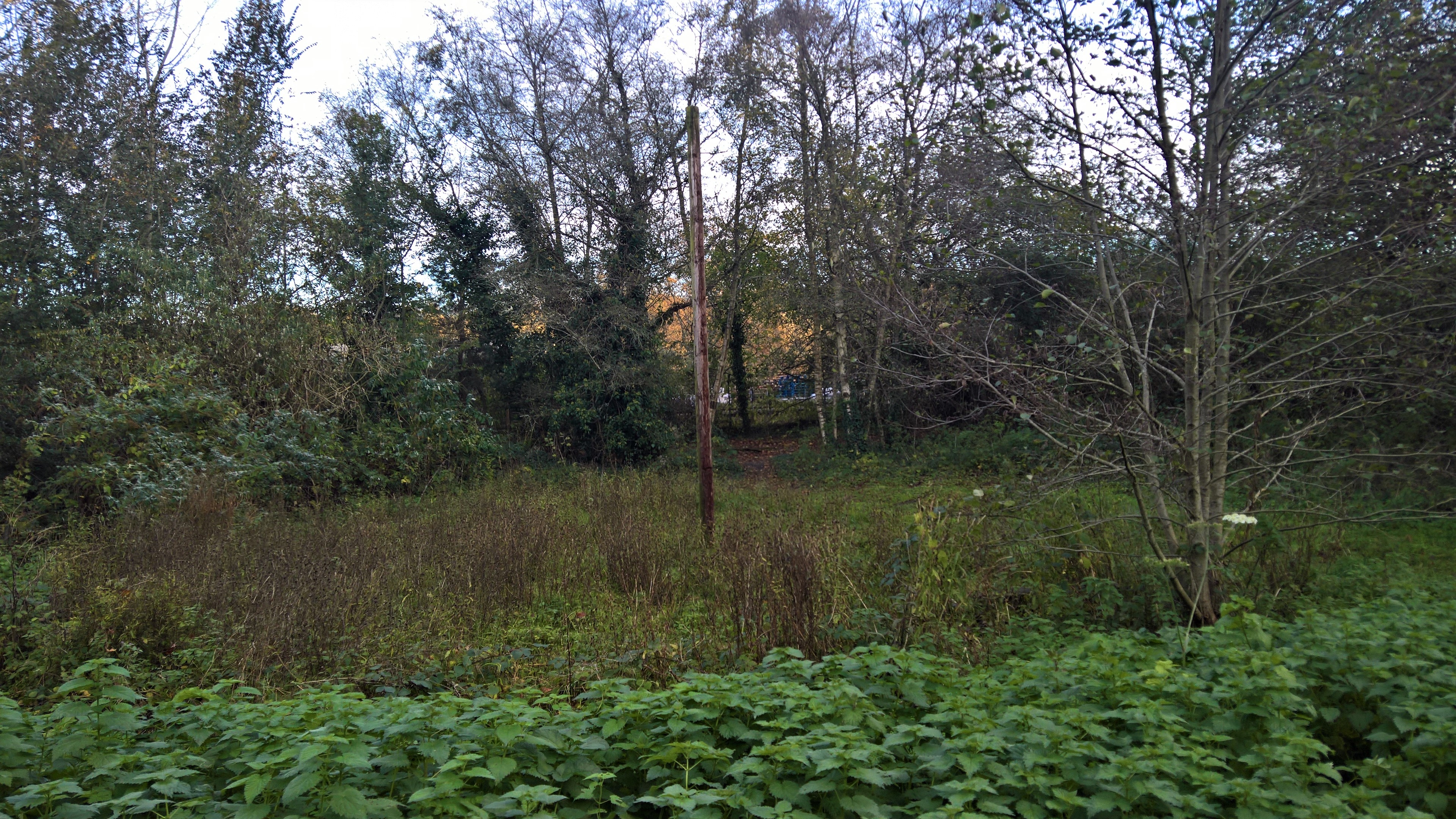 WP_20171108_15_34_36_Pro_LI