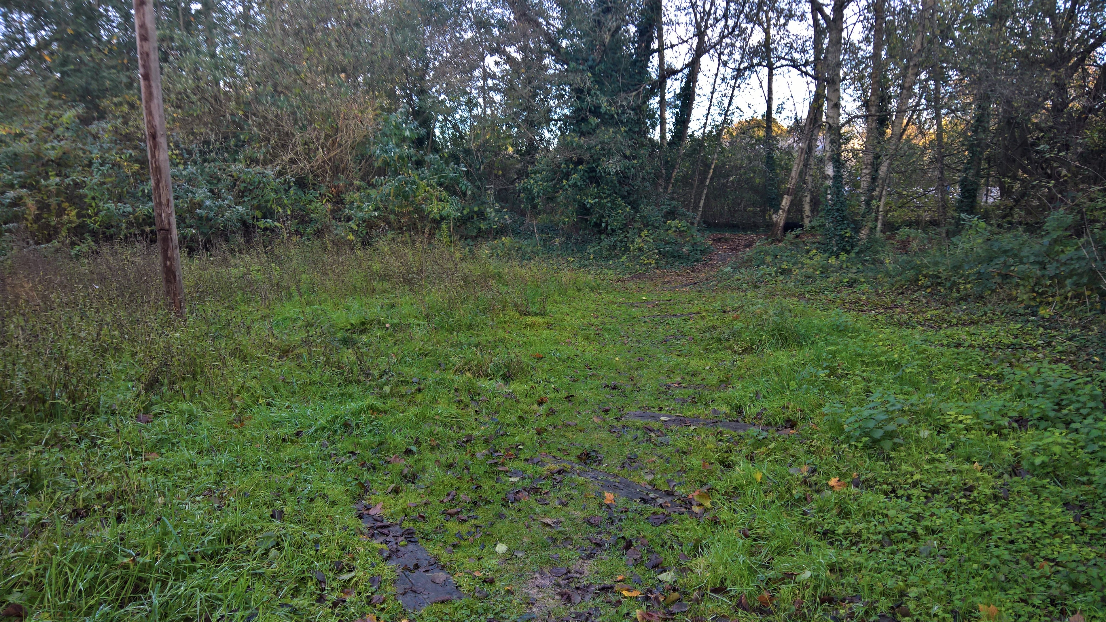 WP_20171108_15_34_59_Pro_LI